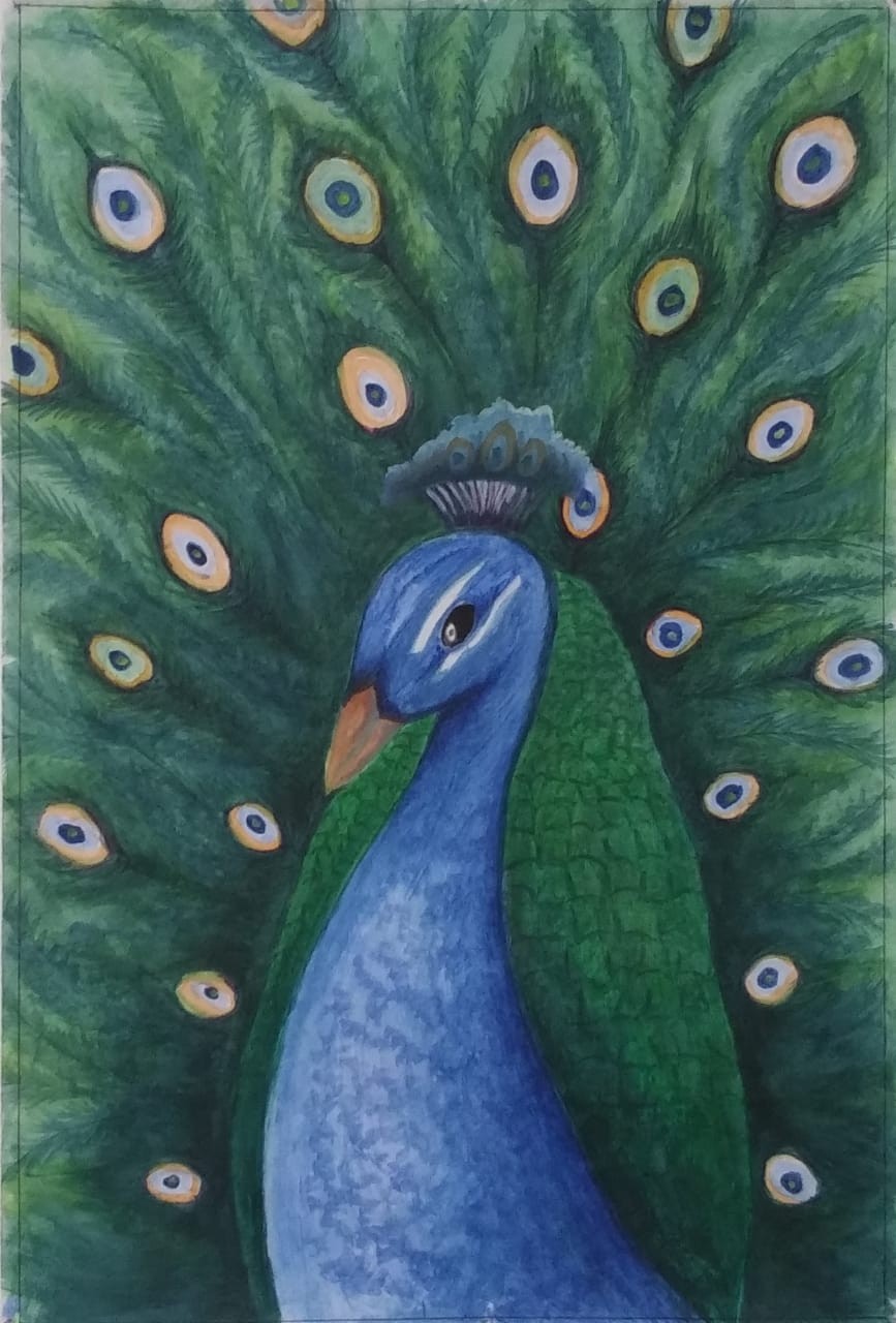 Peacock by Mithun Madushan