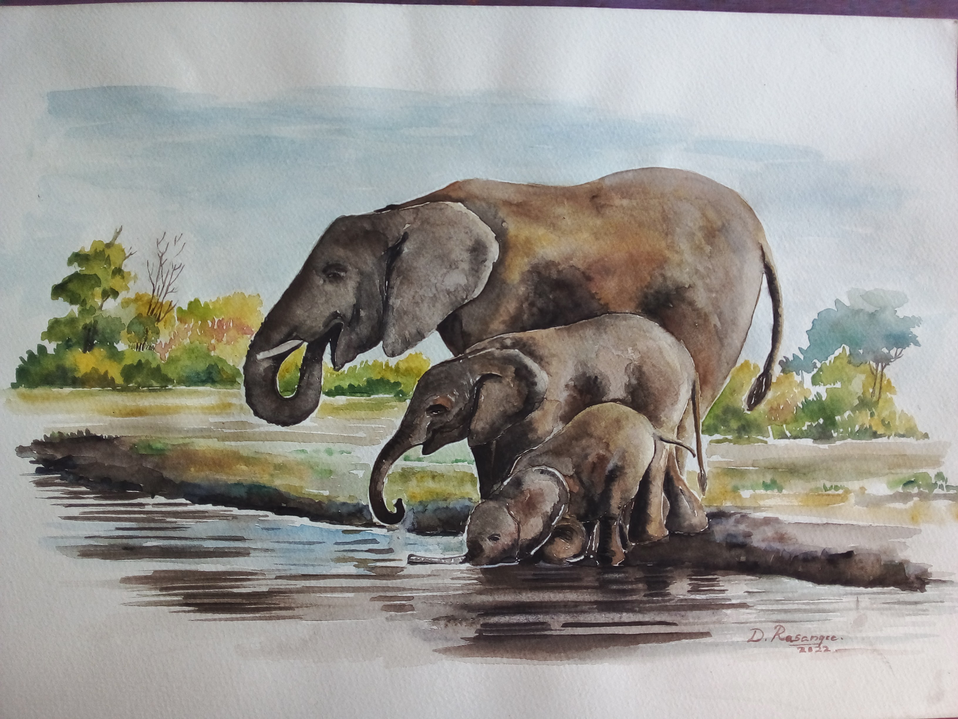 elephants by Dhamitha Rasangee
