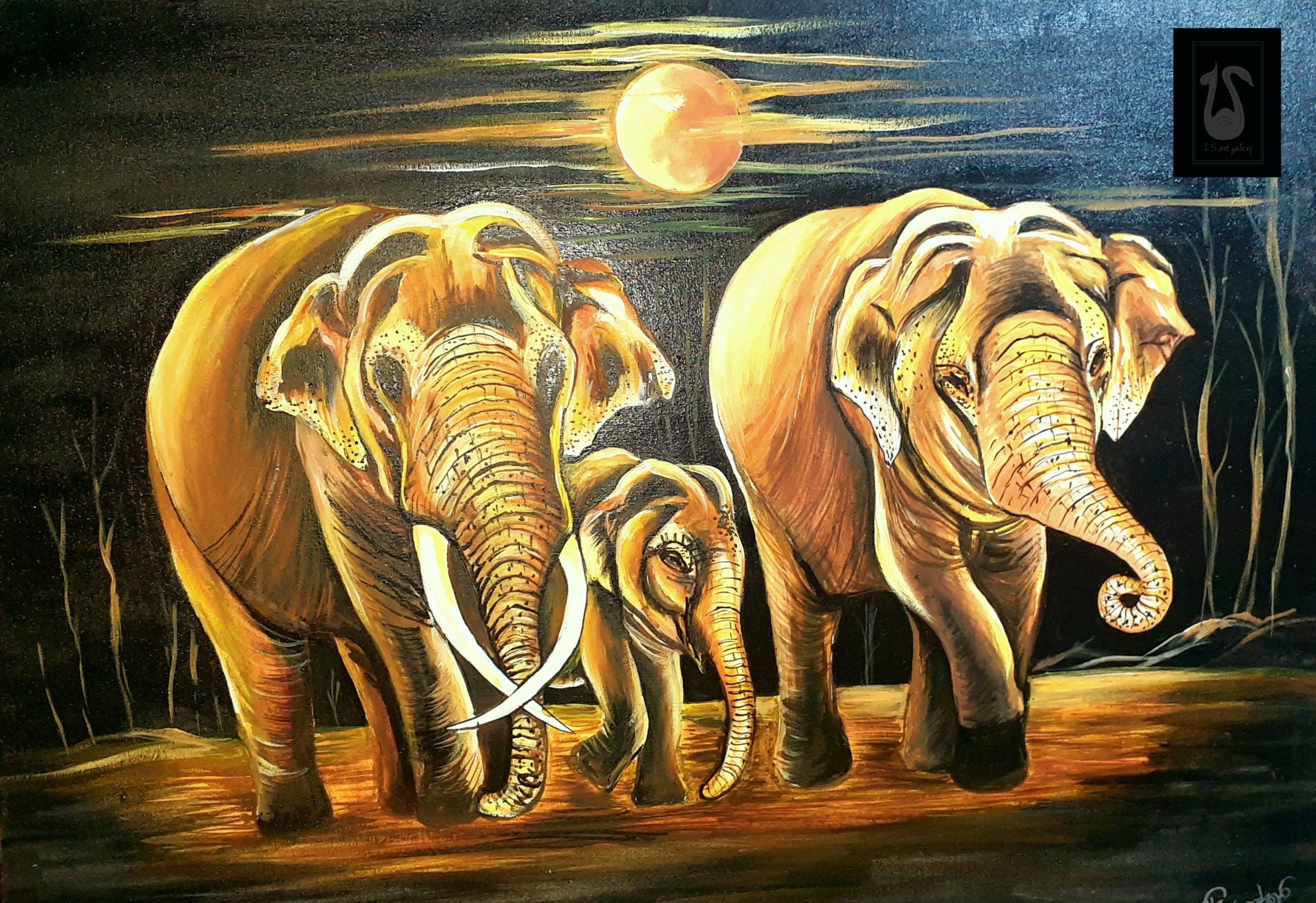 Three elephants by Indi Jayasekara