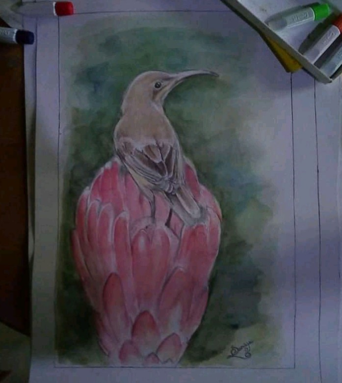 Watercolor painting by U.M Sandya Dilrukshi