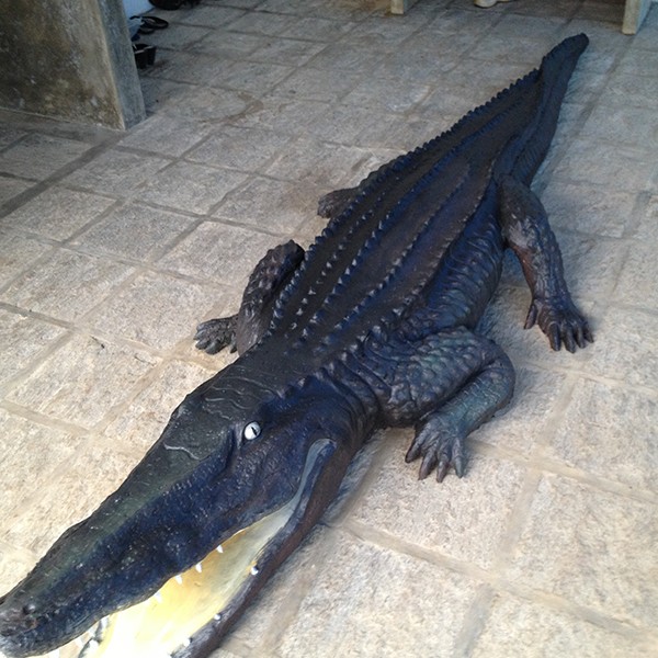 Crocodile by Dep Thushara