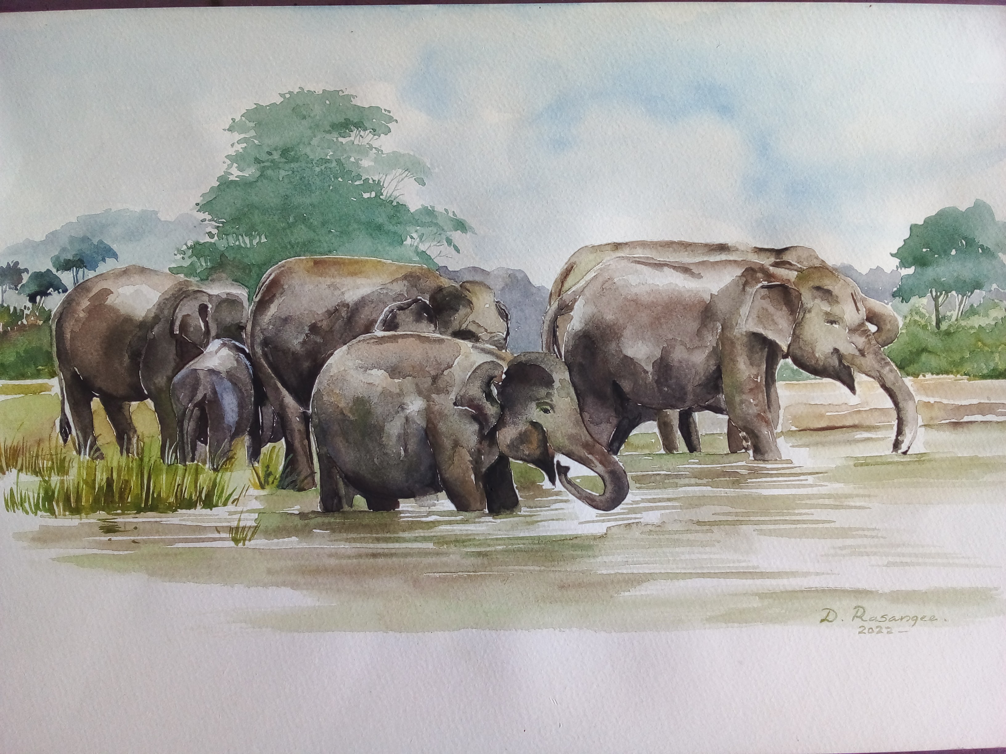 Elephants 7 by Dhamitha Rasangee