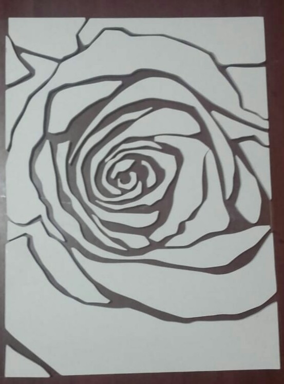 white rose by Manoj Warakapitiya