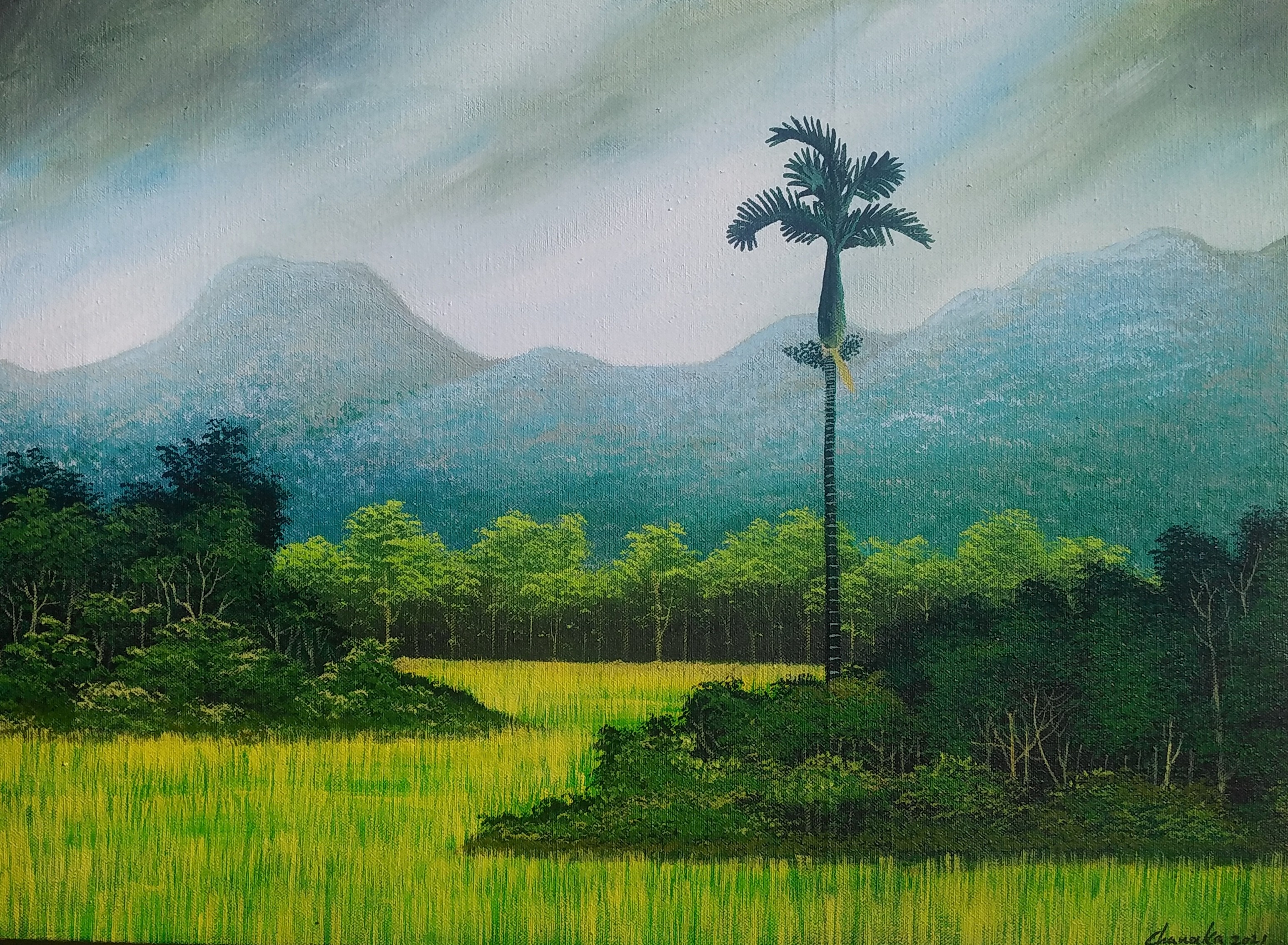 Landscae by nilantha Chanaka