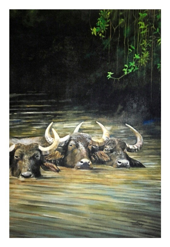 Buffaloes by the river by Hemantha Warakapitiya