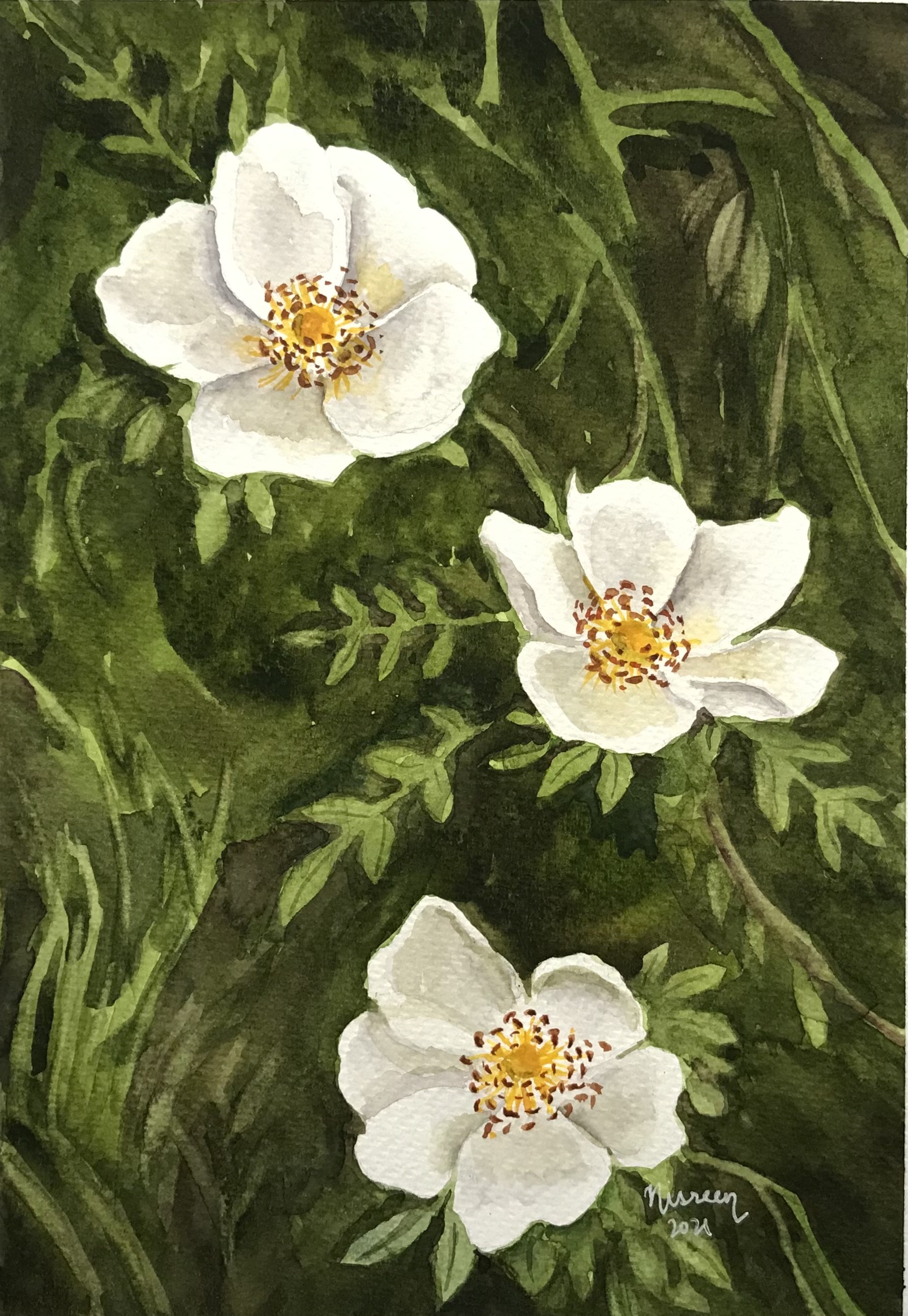 White flowers by Nisreen Amiruddeen