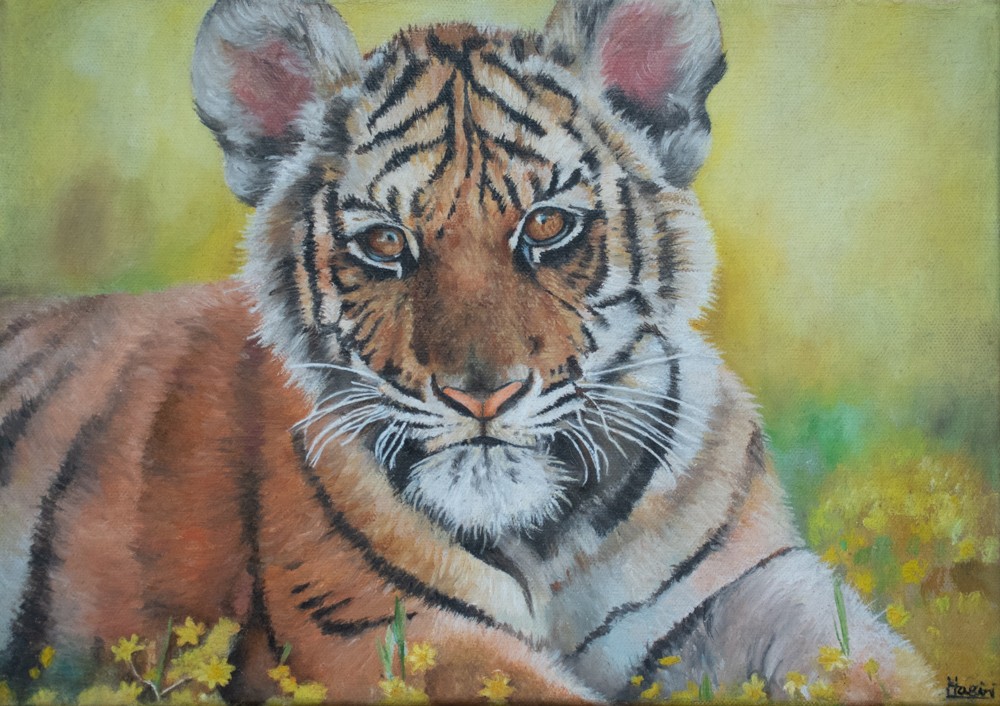 A baby tiger by Hasini Perera