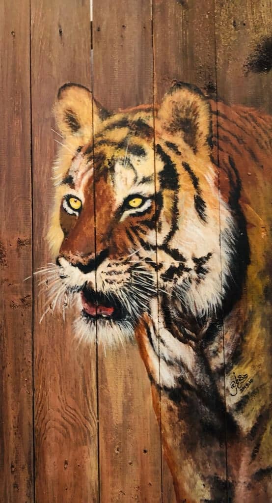The tiger by SA Buddhika Ranjeewa