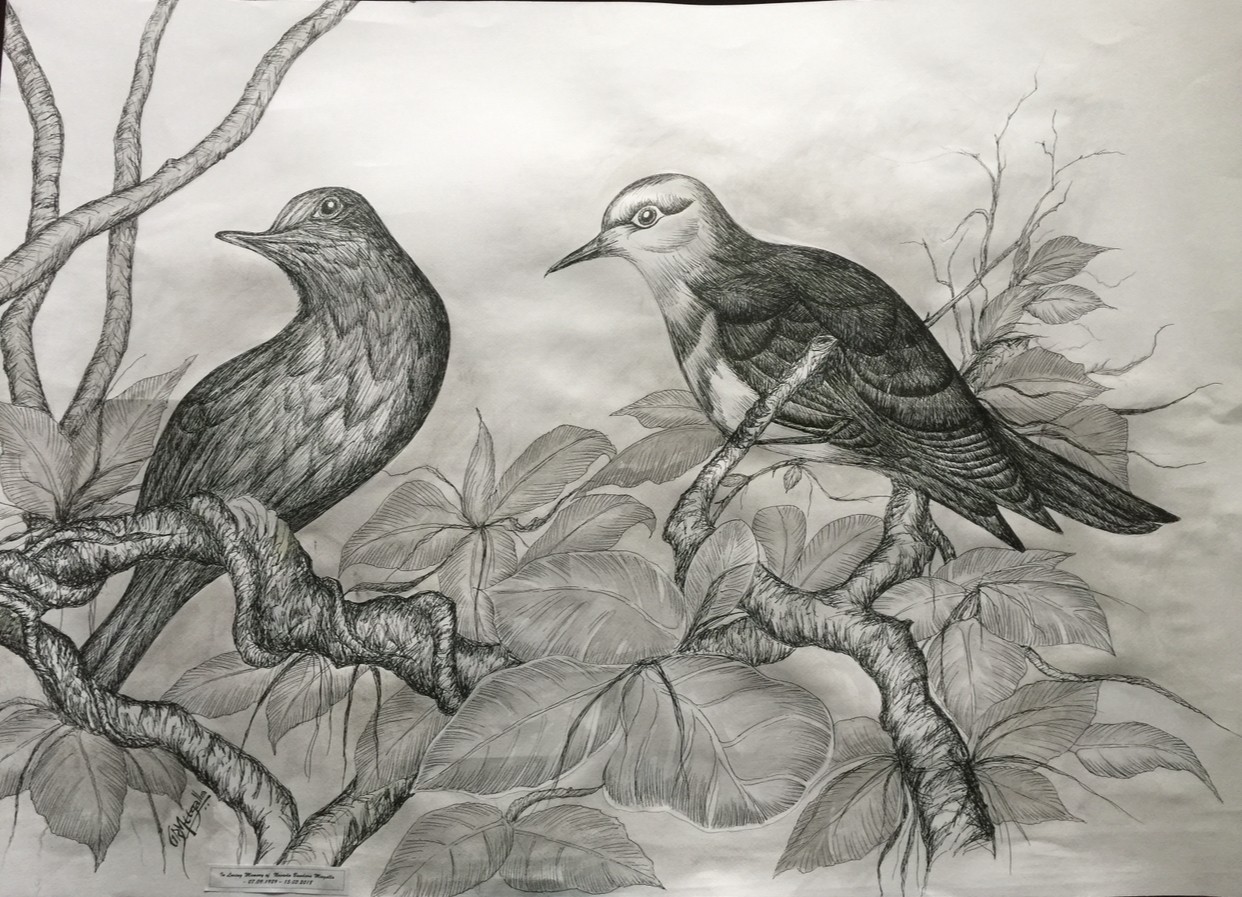 Srilanka Birds by Gamini Meegalla