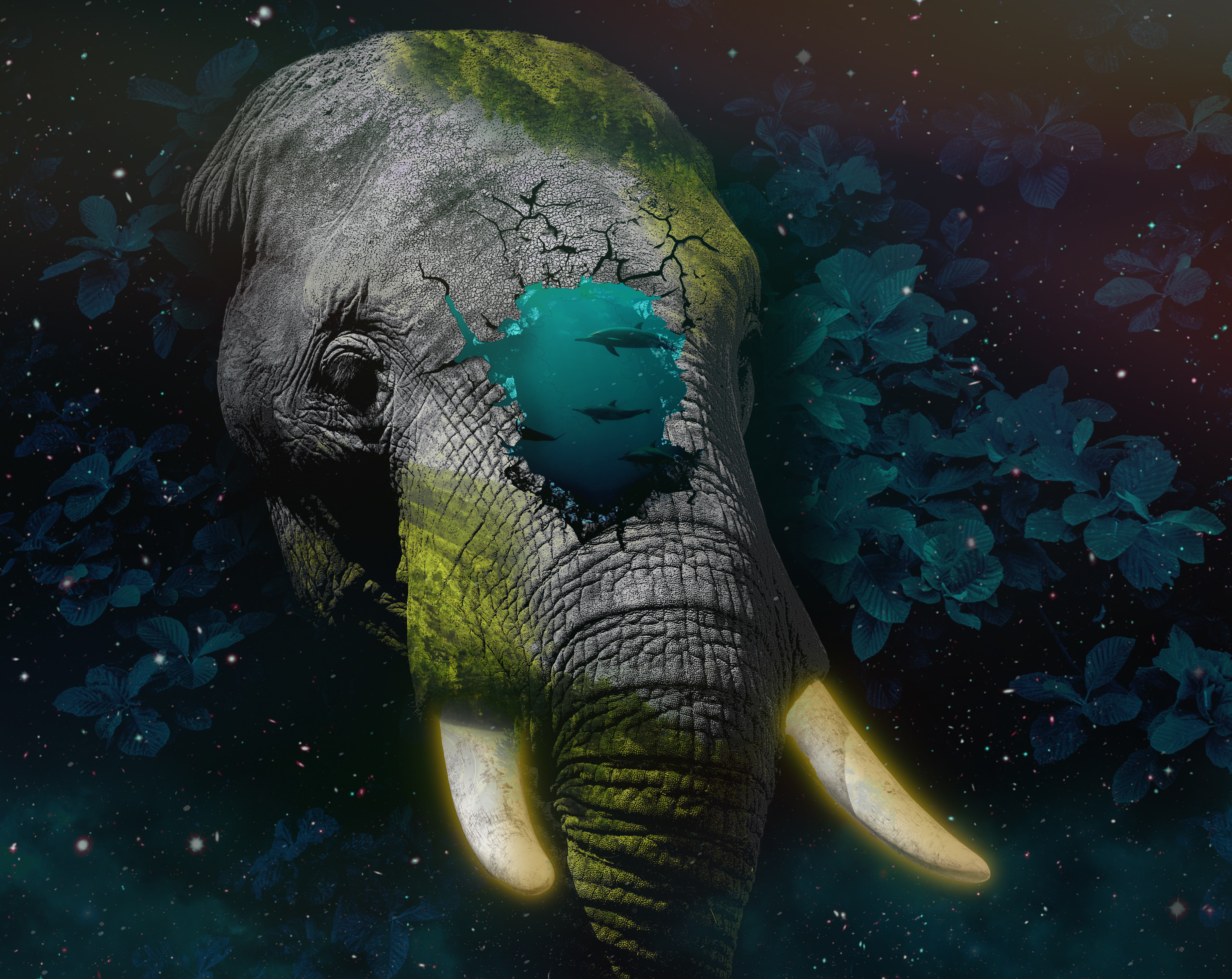 Elephantasy by Lia Panidara