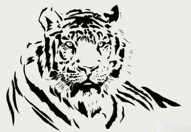Tiger by Manoj Warakapitiya