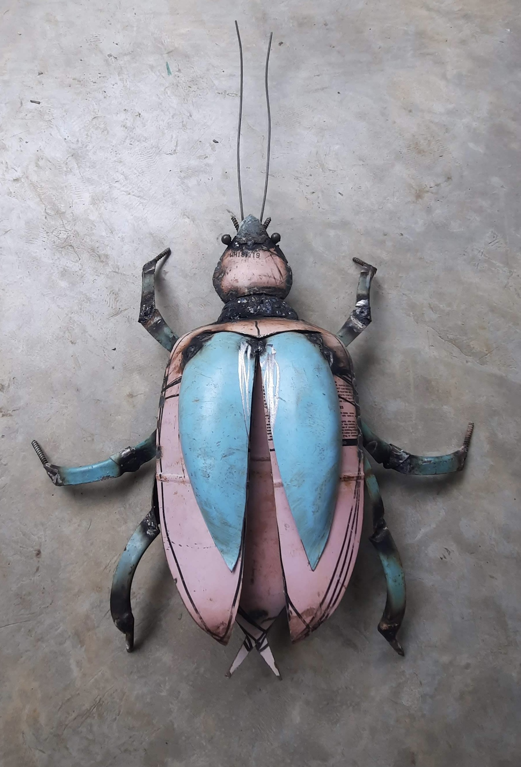 Bug by Dep Thushara