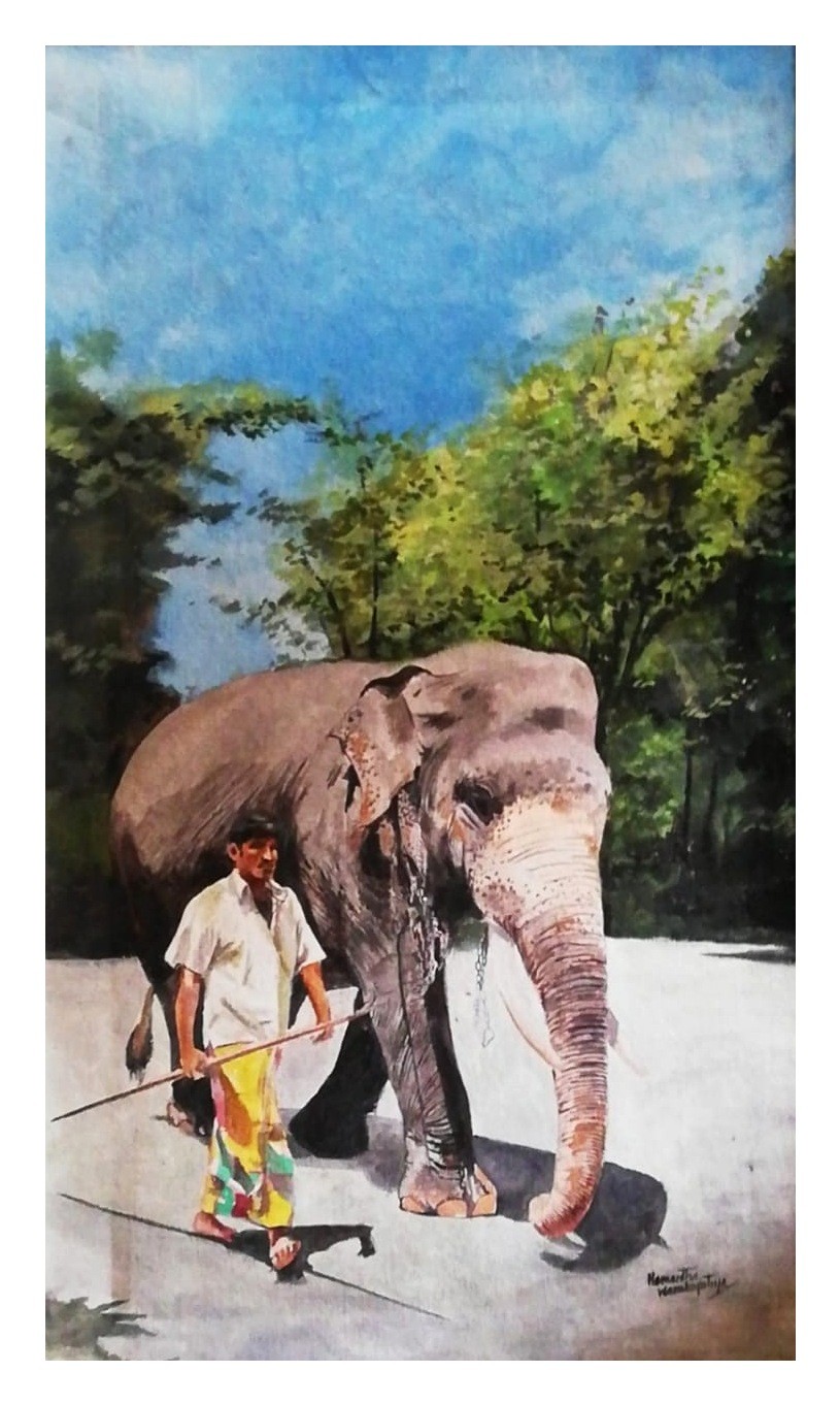 Elephant by Hemantha Warakapitiya