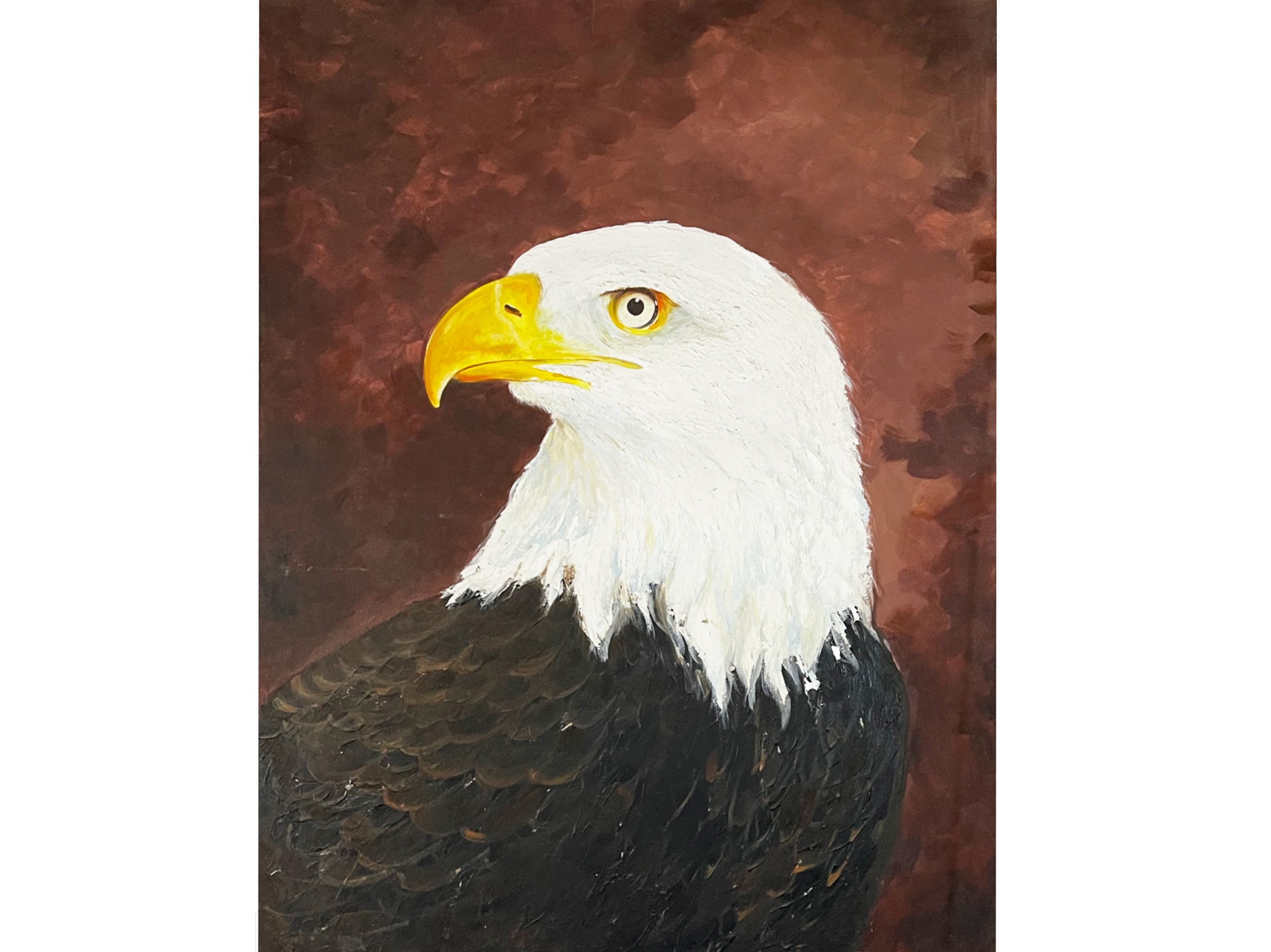 eagle by kasun milinda