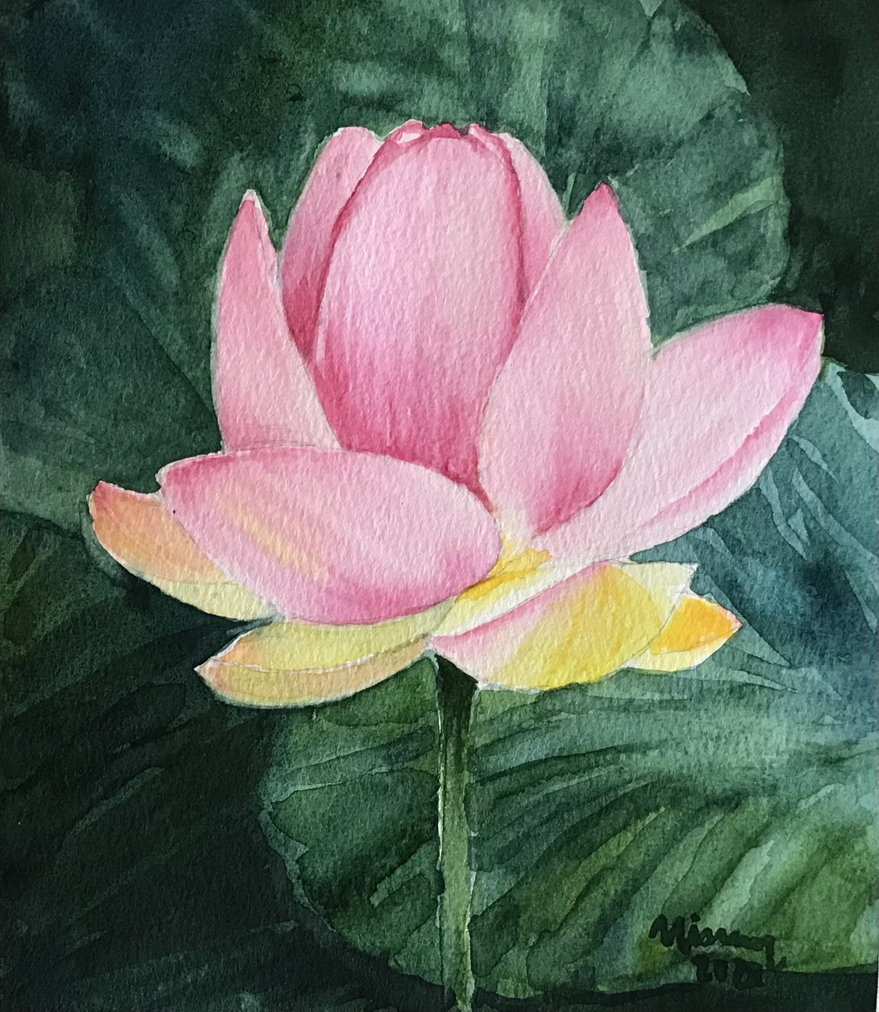 Lotus by Nisreen Amiruddeen