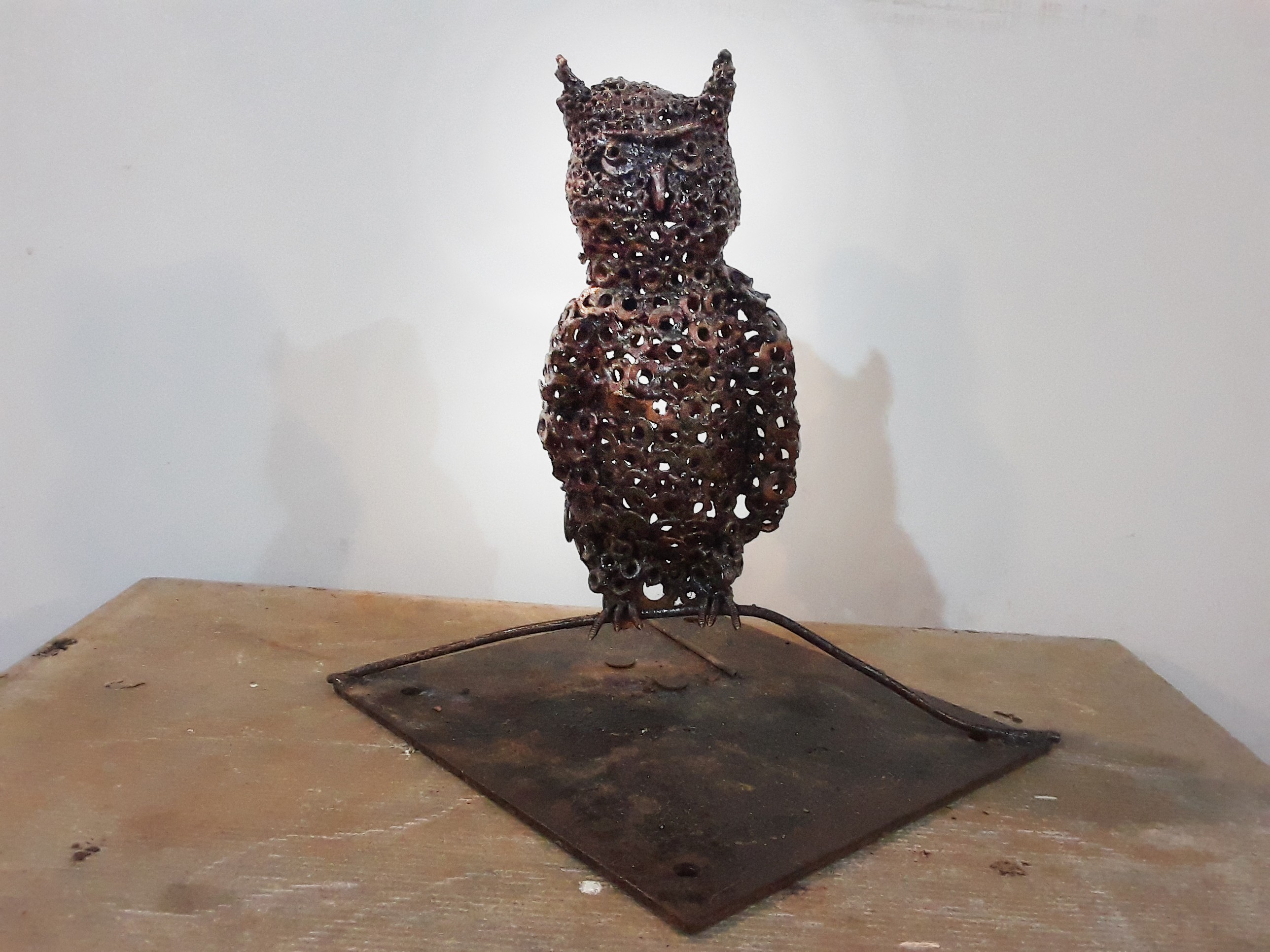 Owl by samith lakmal