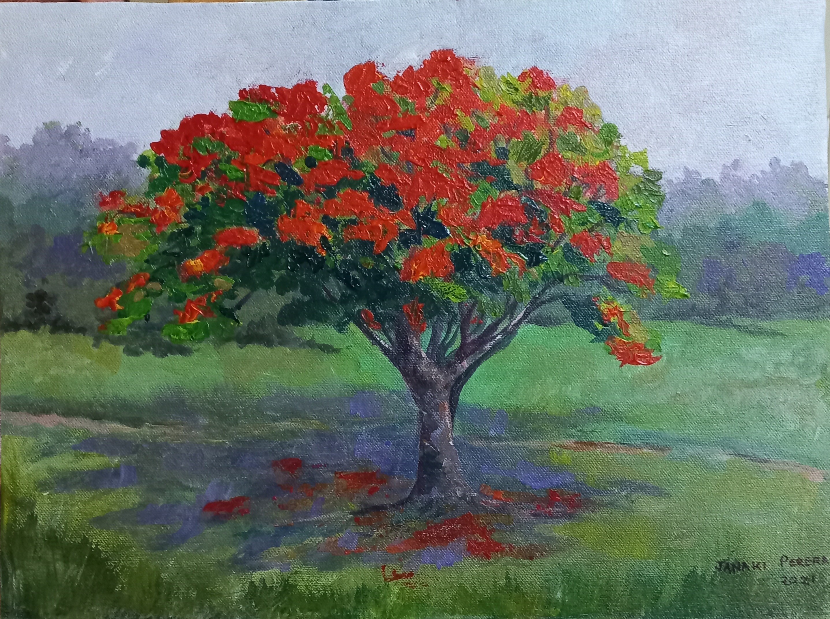 The Flamboyant Tree by Janaki Perera