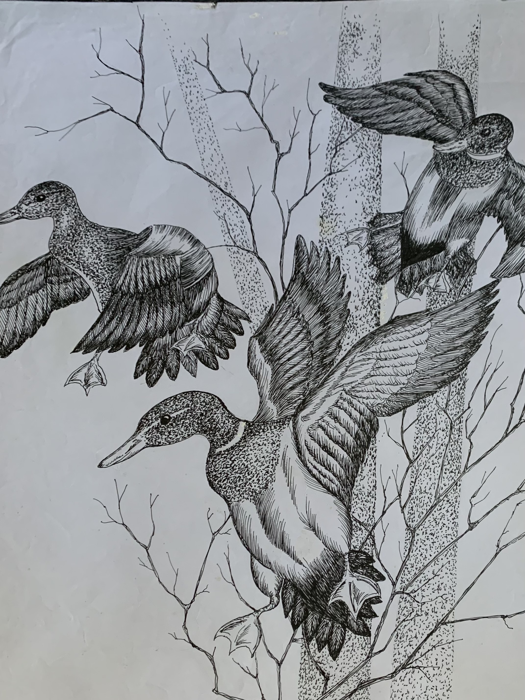 Flying Birds by Gamini Meegalla