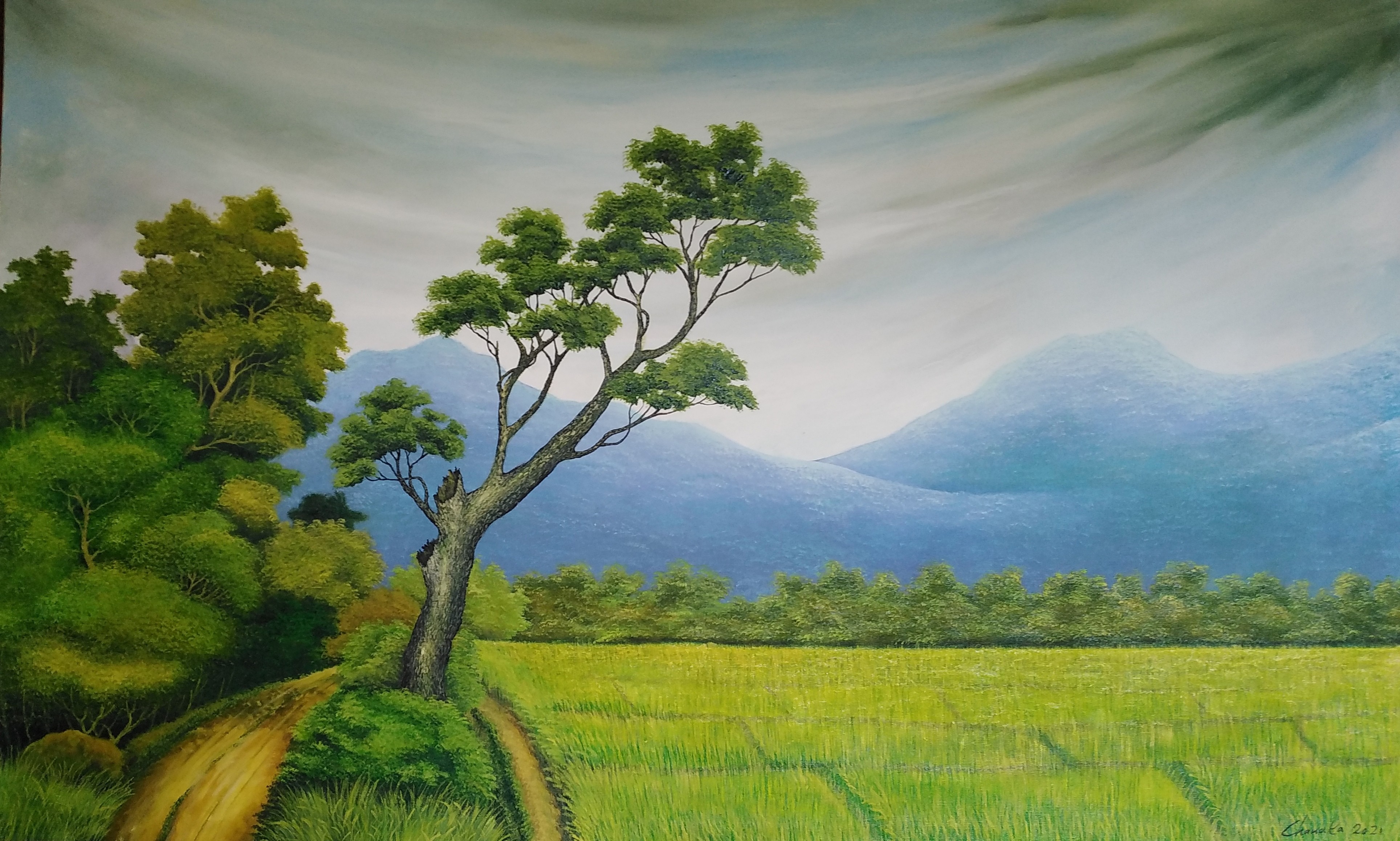 Landscape by nilantha Chanaka