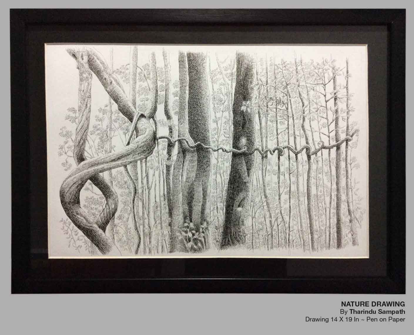 Nature Drawing by THARINDU SAMPATH SIRIWARDANA