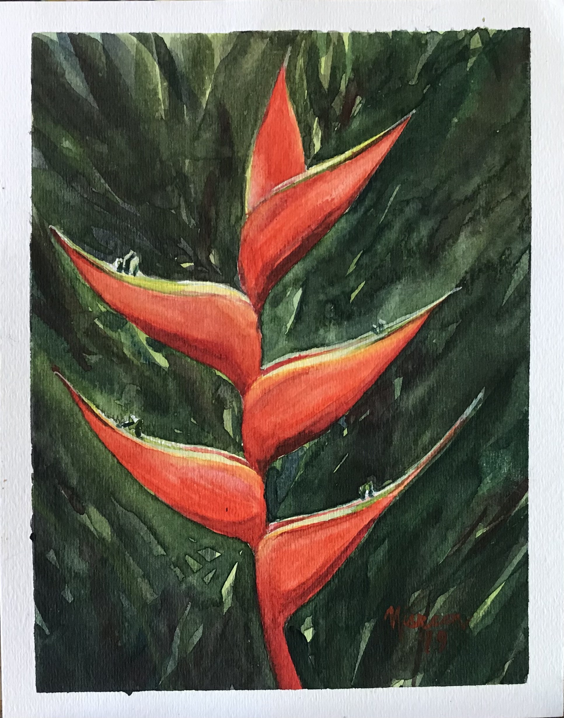 Heliconia 2 by Nisreen Amiruddeen