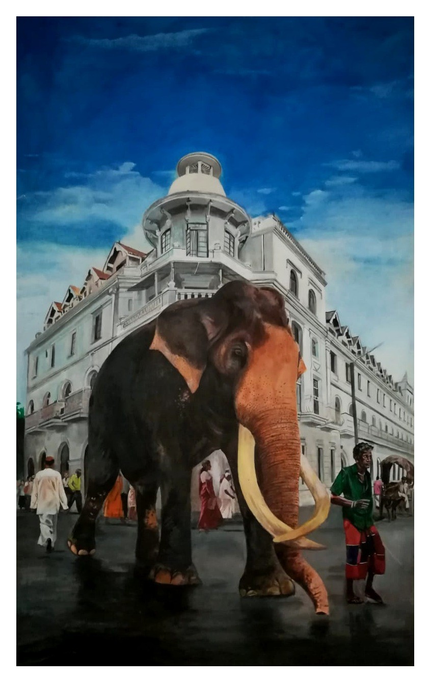 Nadungamuwa Tusker by Hemantha Warakapitiya