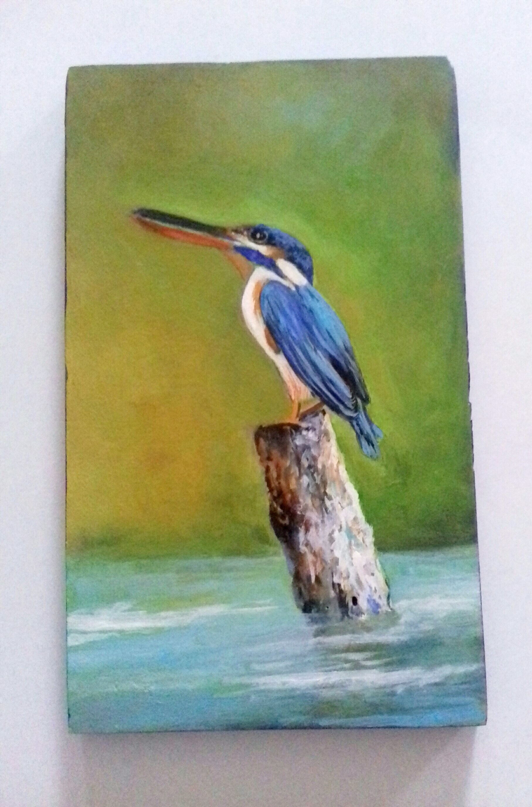 Kingfisher by Mangala Madanayake