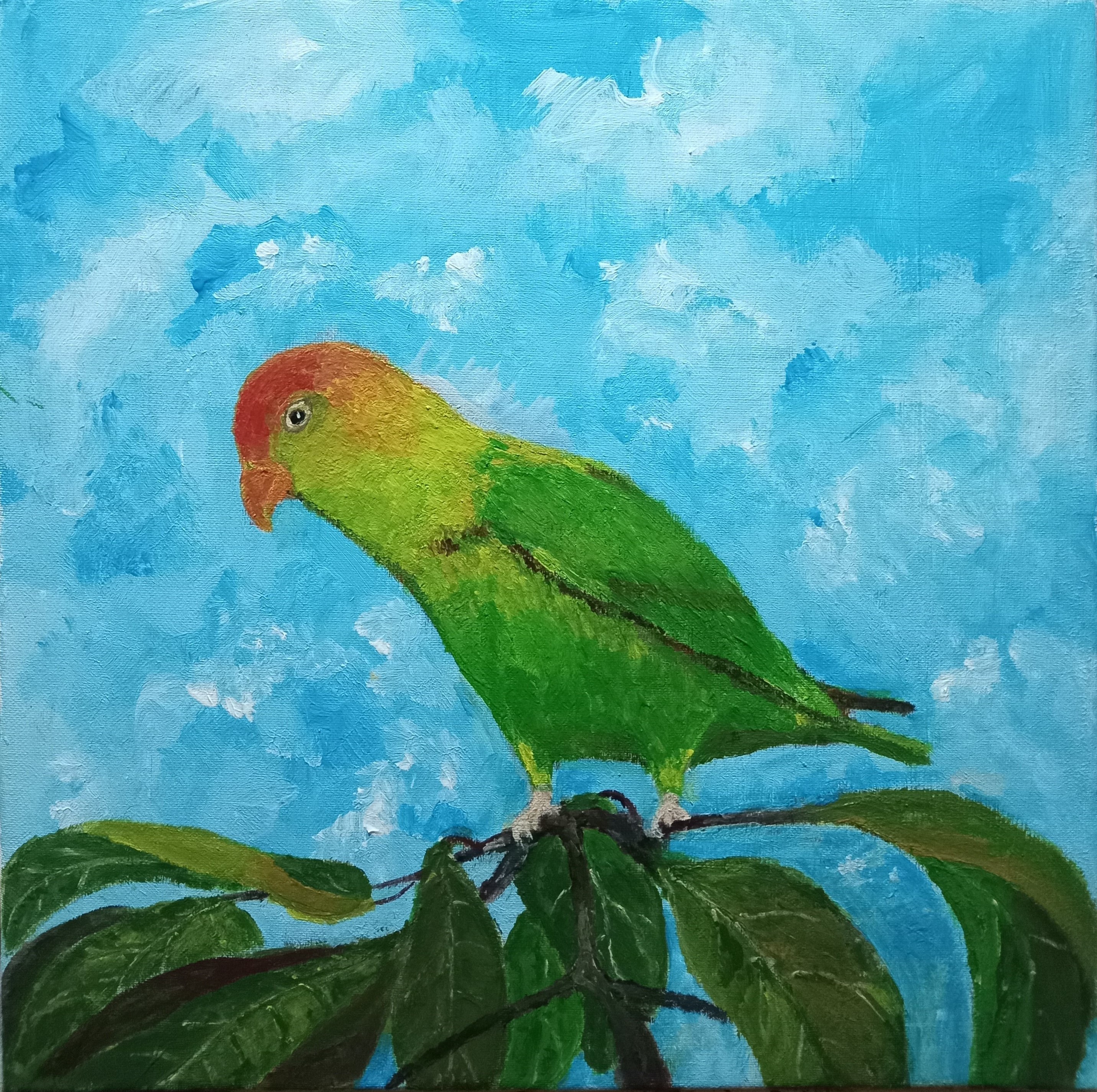 Sri Lankan Parrot by Simpson David