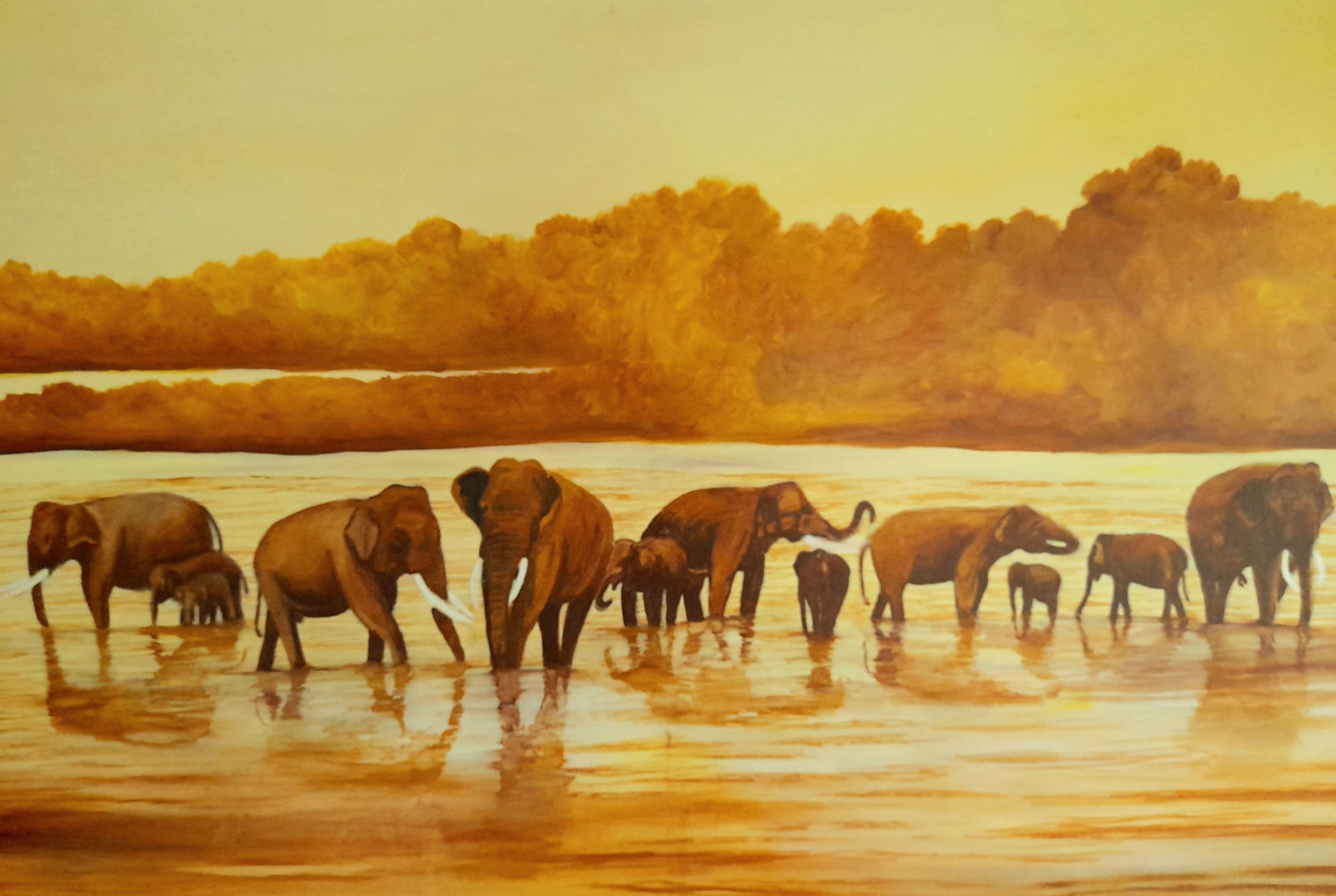 Elephants by Mangala Madanayake