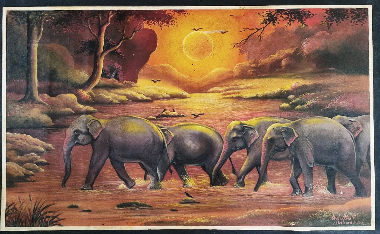 Elephant Gang by Wasantha Hetti Arachchi