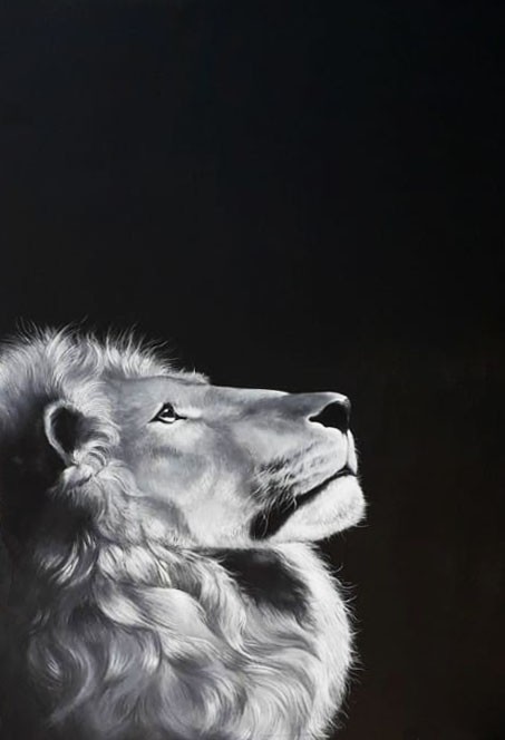 Lion by Kasuni Rathnayaka