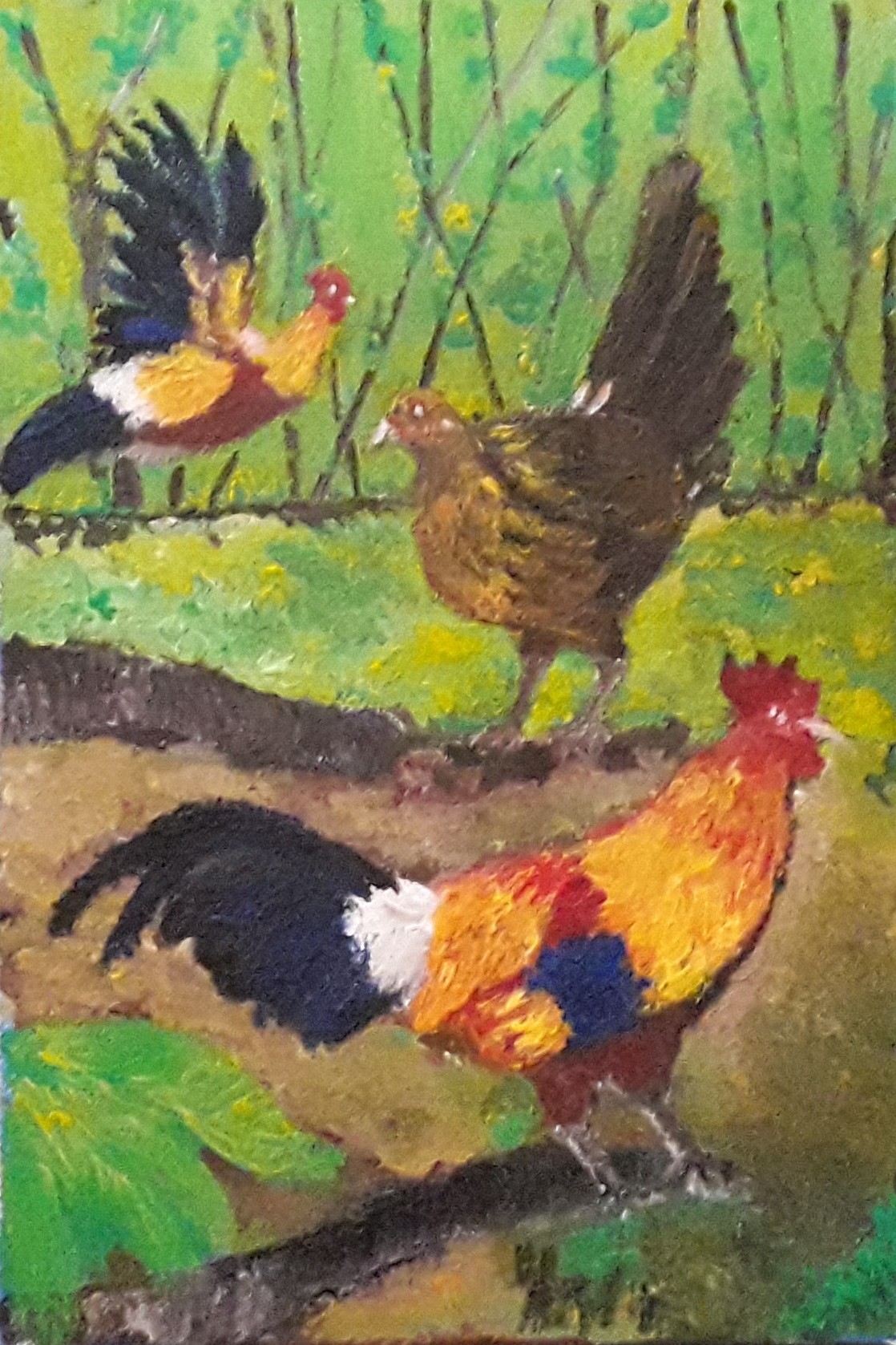 Sri Lankan Jungle Fowls by Simpson David