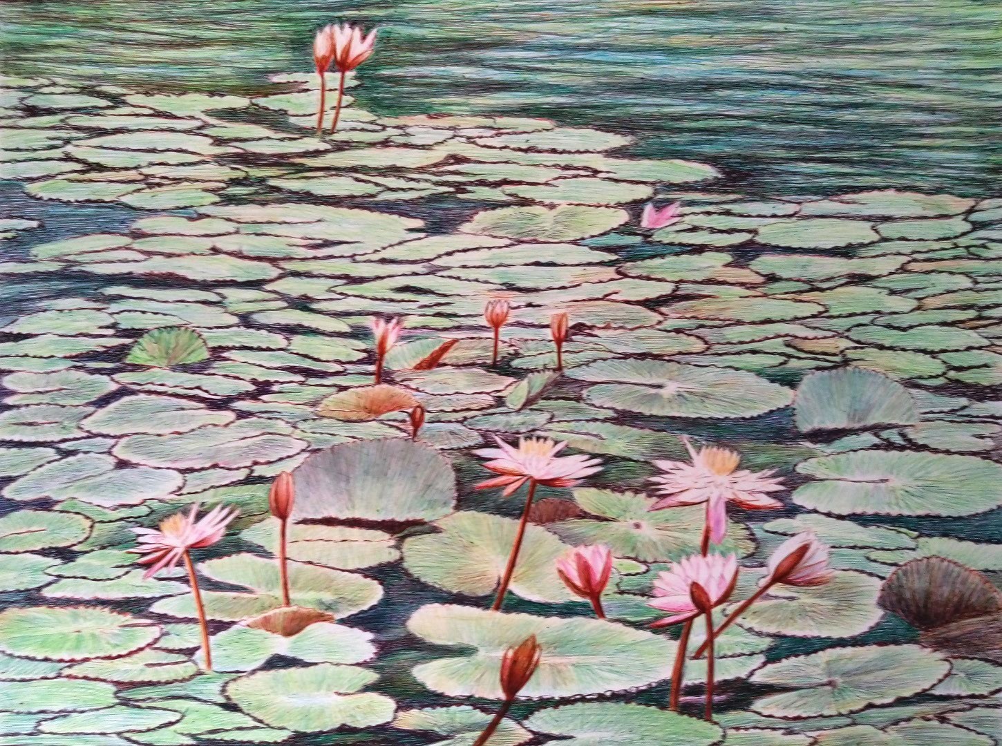 Lotus by Mangala Madanayake