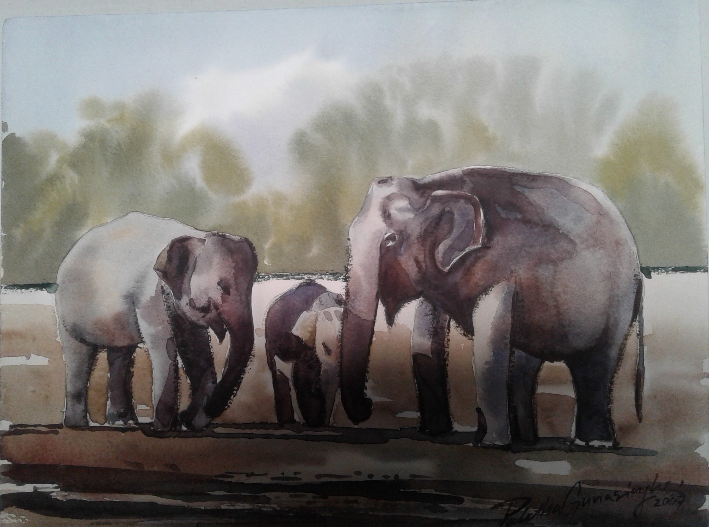Elephants by Palitha Gunasinghe