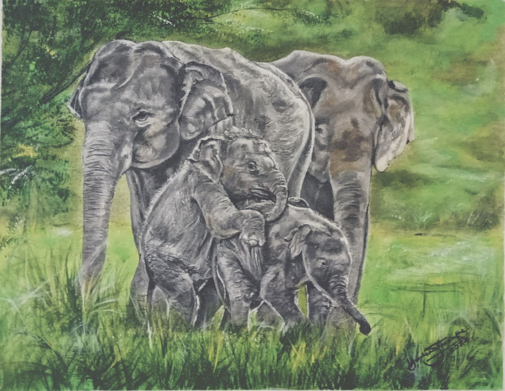 Elephant family by Harsha Kumara