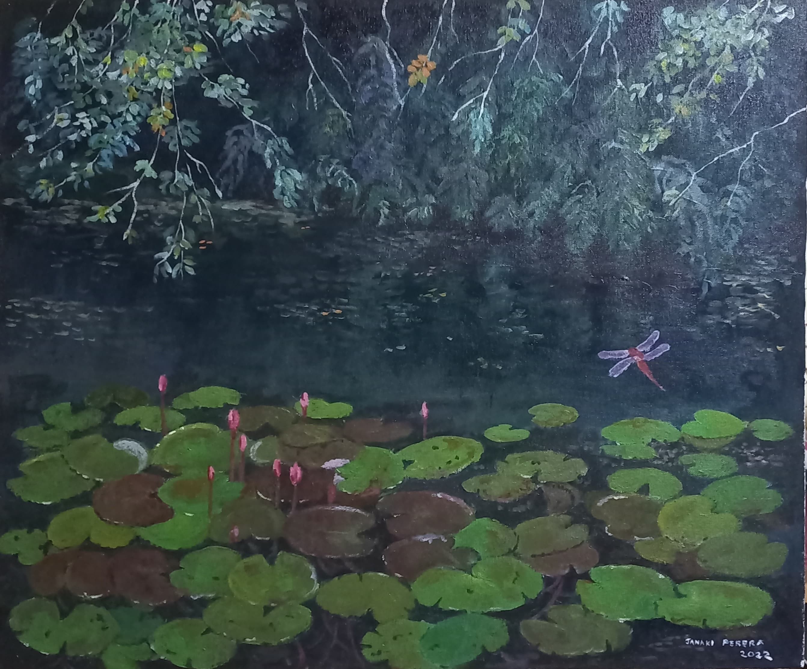 Waterlilies on a rainyday by Janaki Perera