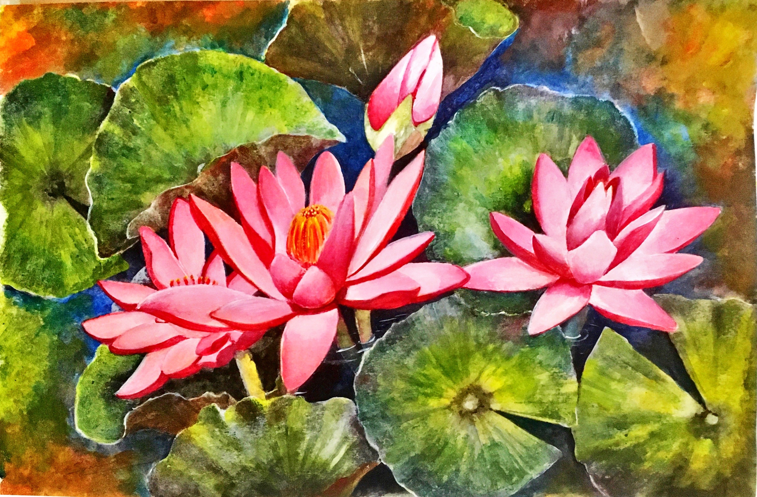 Lotuses by Samantha Wijesinghe