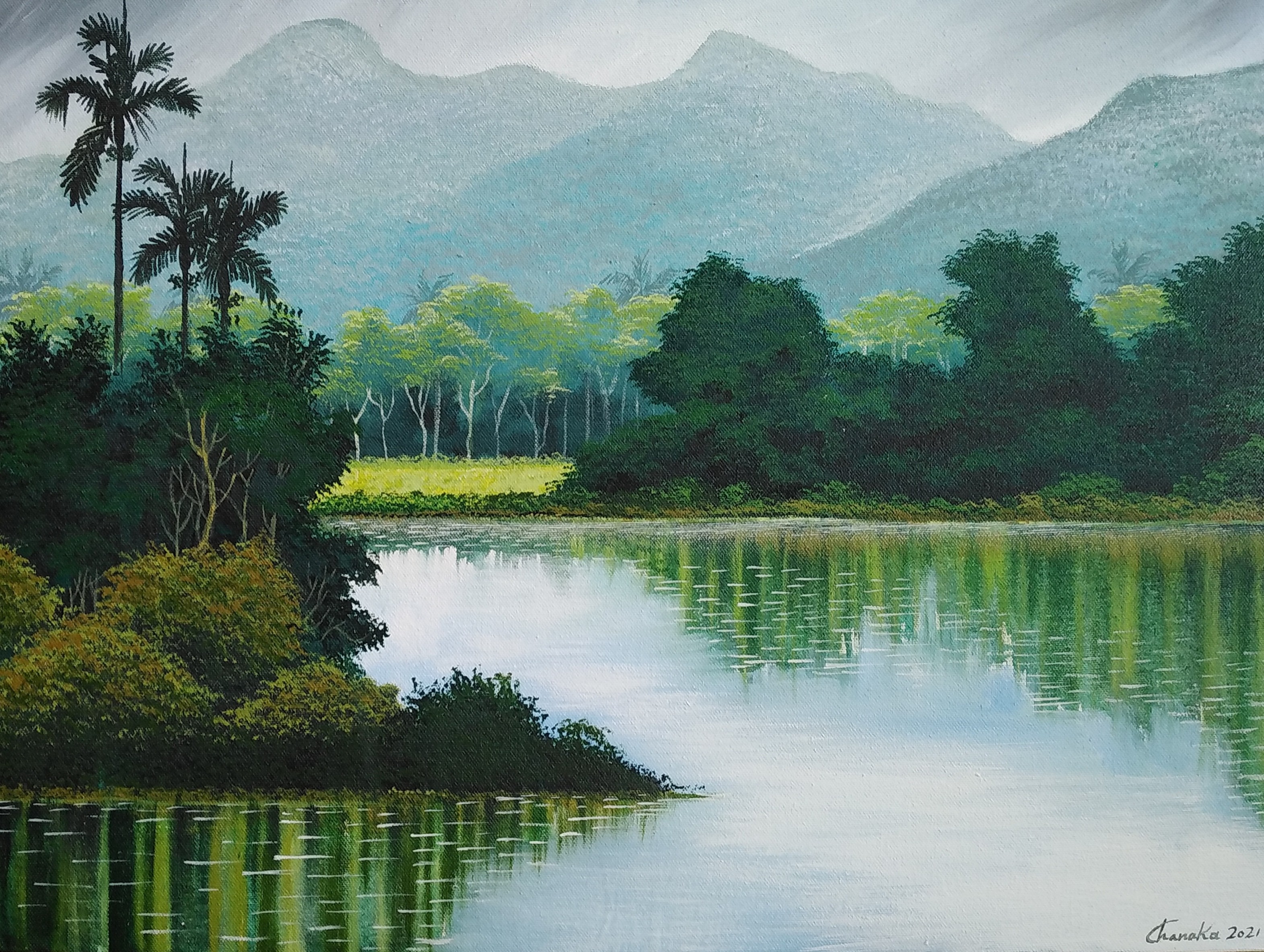 Landscae by nilantha Chanaka