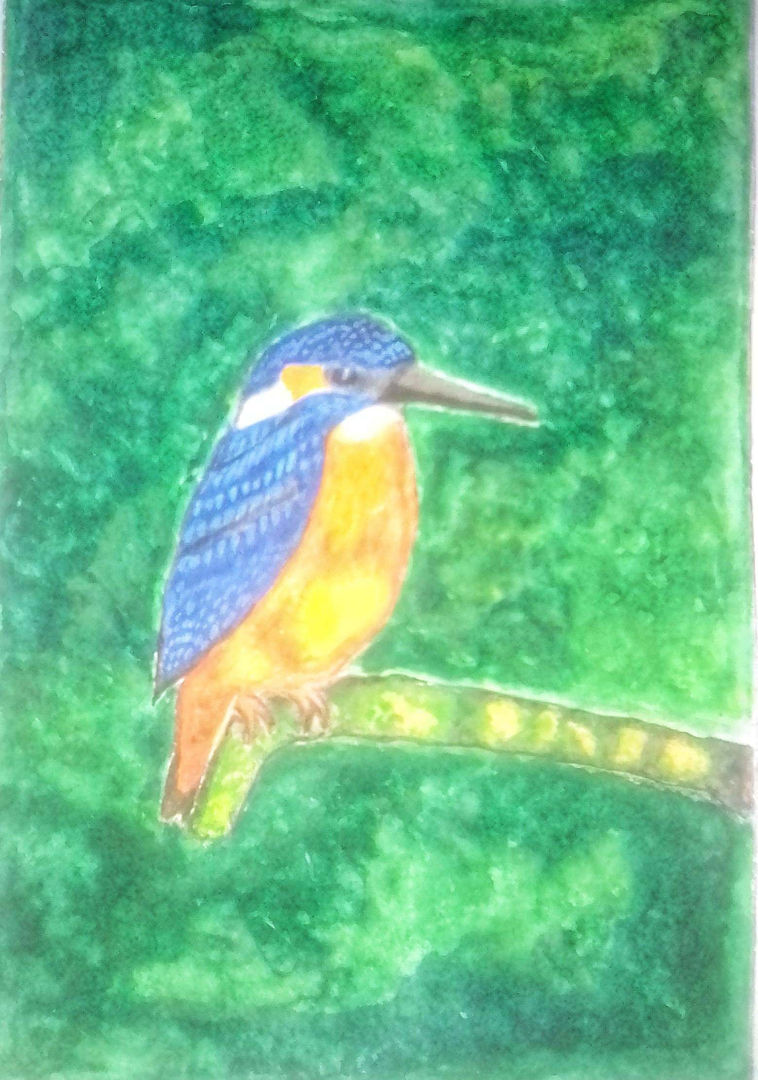 Resting Kingfisher by L.A.R.Harsha De Silva