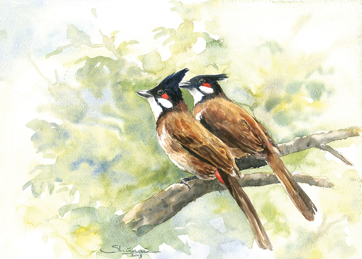 Birds 4 by Shirani Nanayakkara