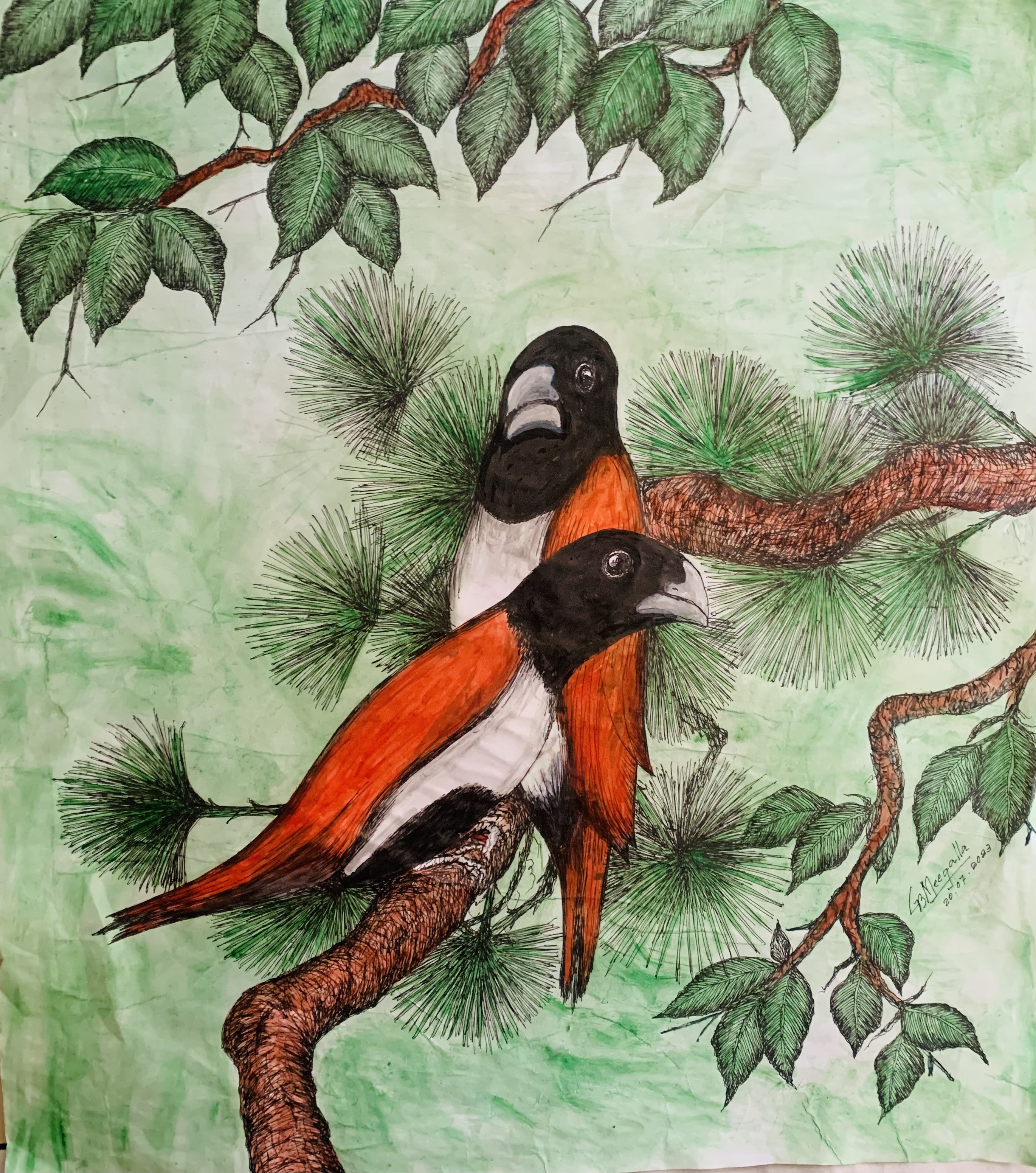 Beautiful Birds by Gamini Meegalla