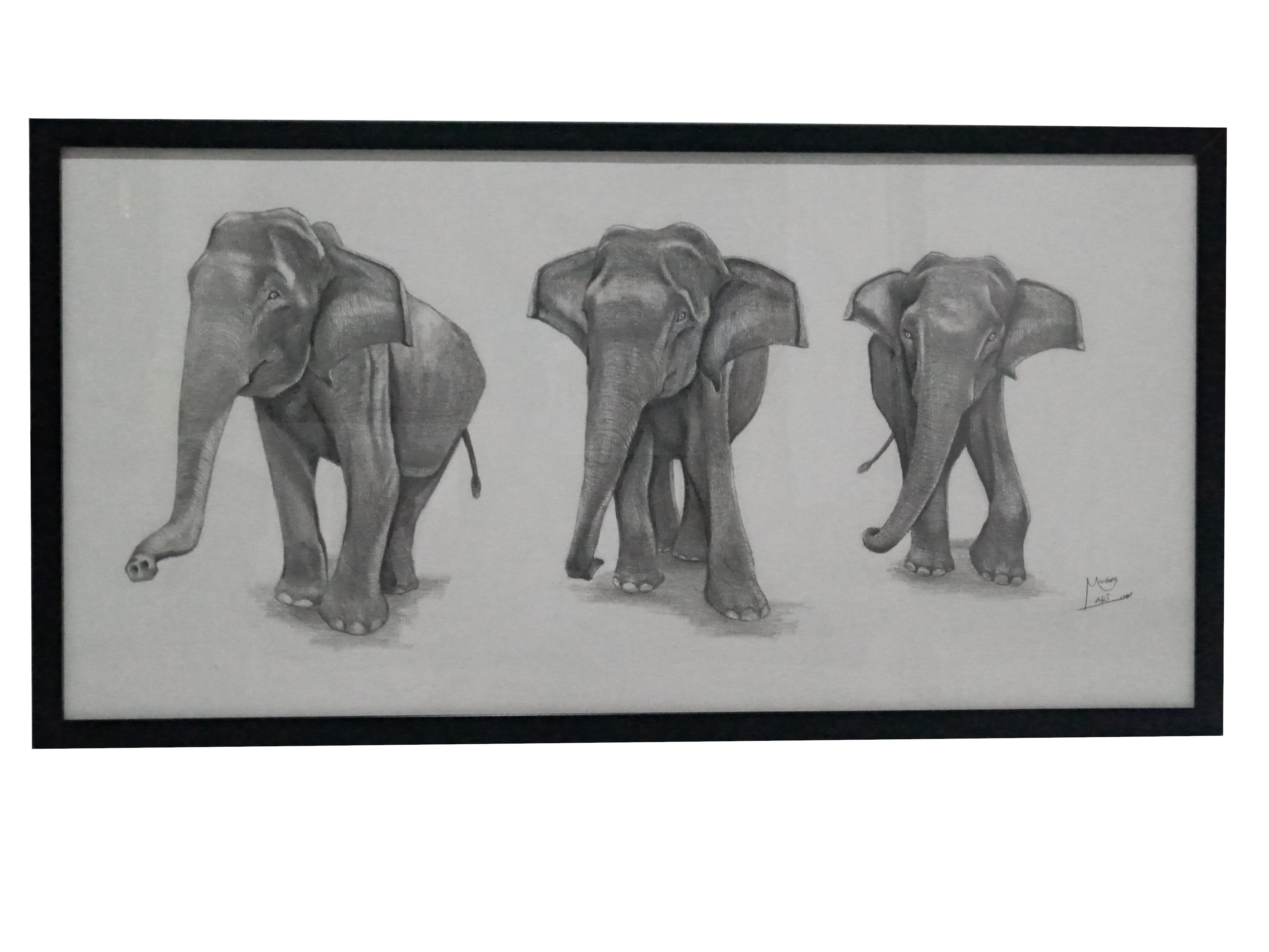 Elephants by Sadeera Mandara