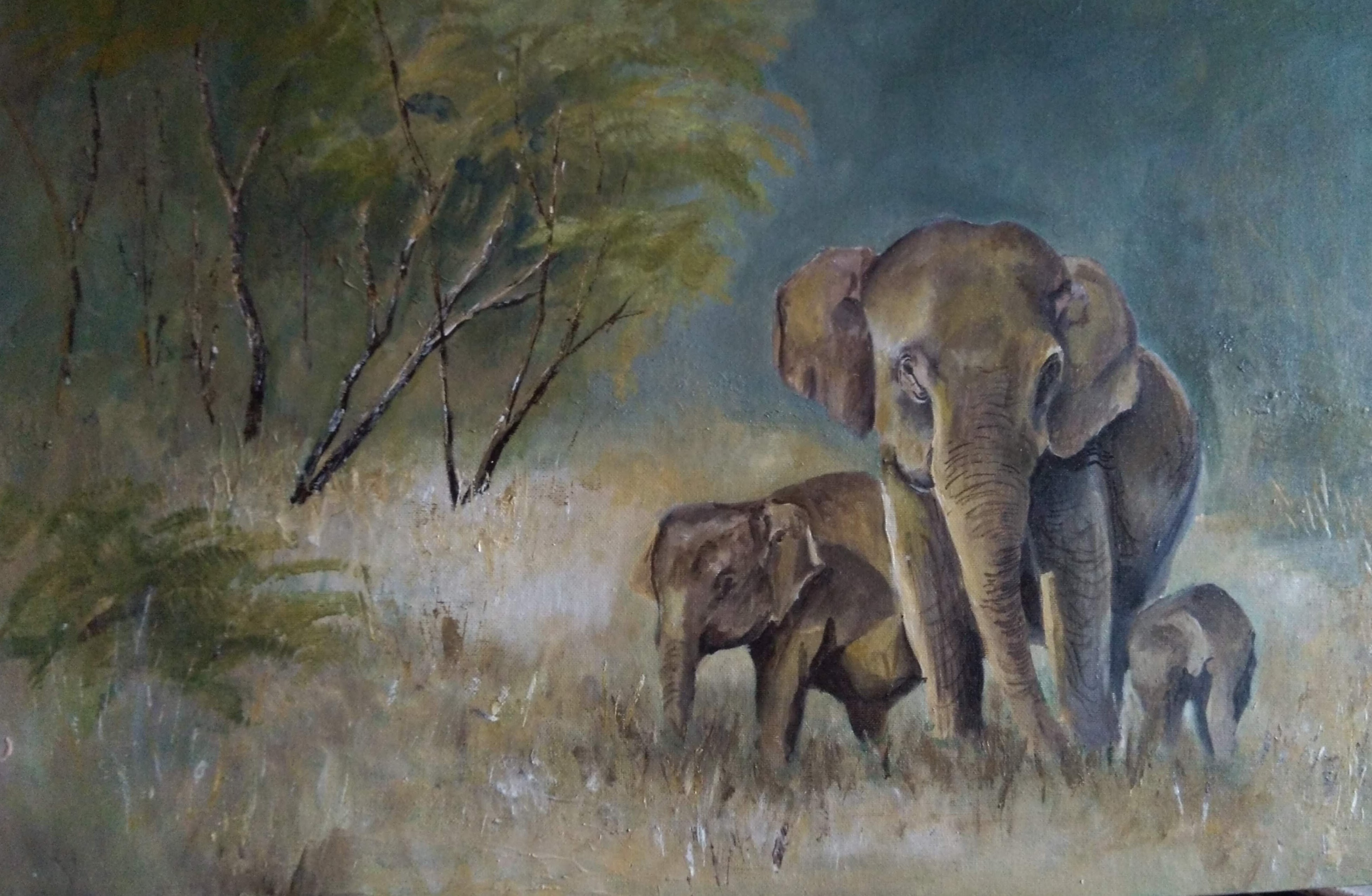 Elephants by Dilan Samaratunga