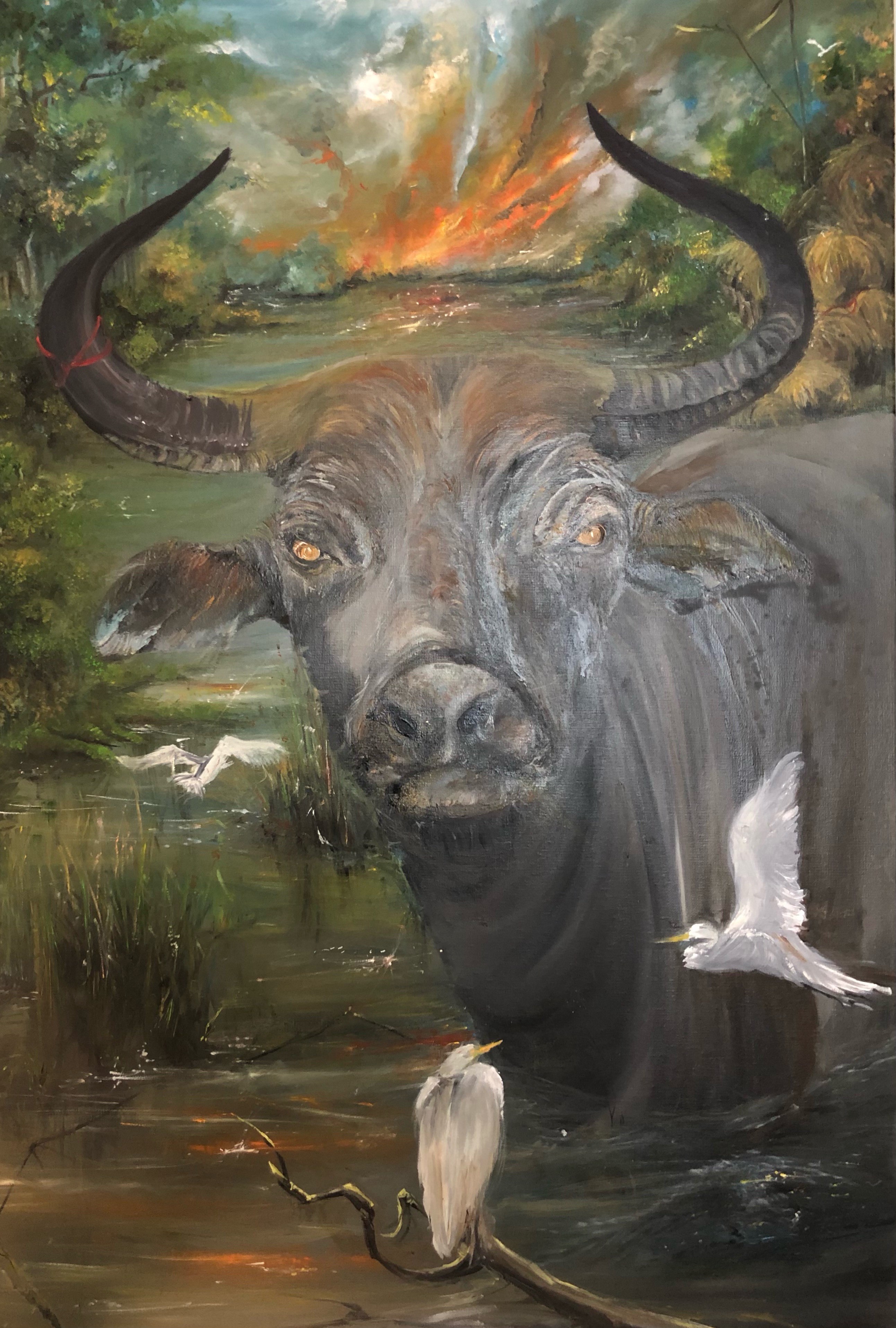Restin Buffalo by Dulika Silva
