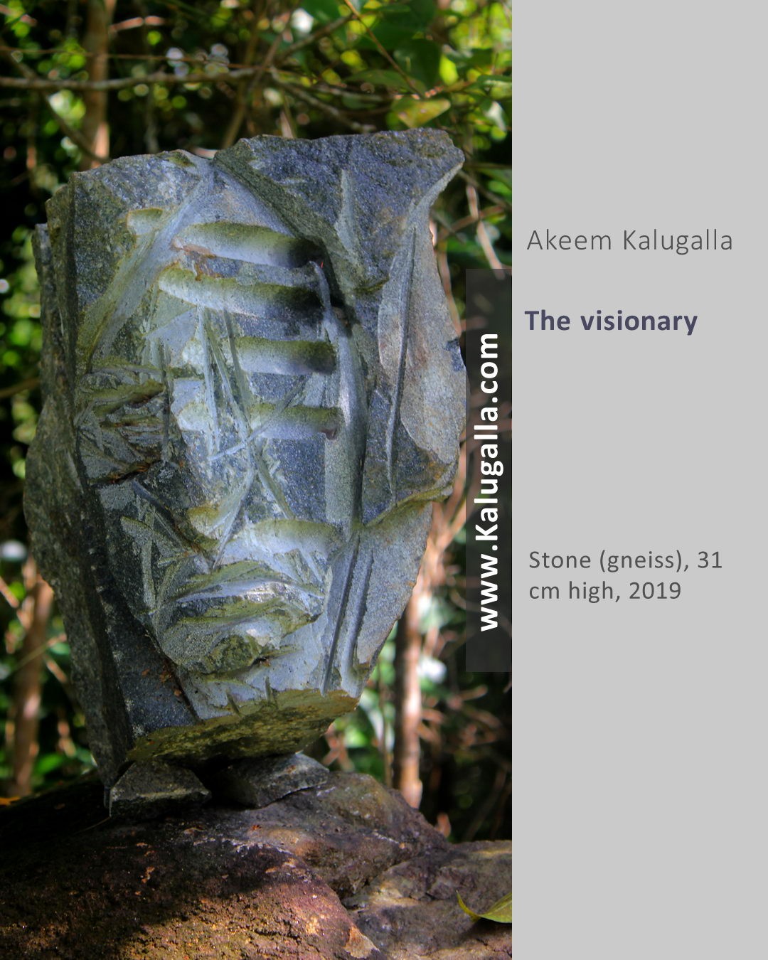 The Visionary by Akeem Kalugalla