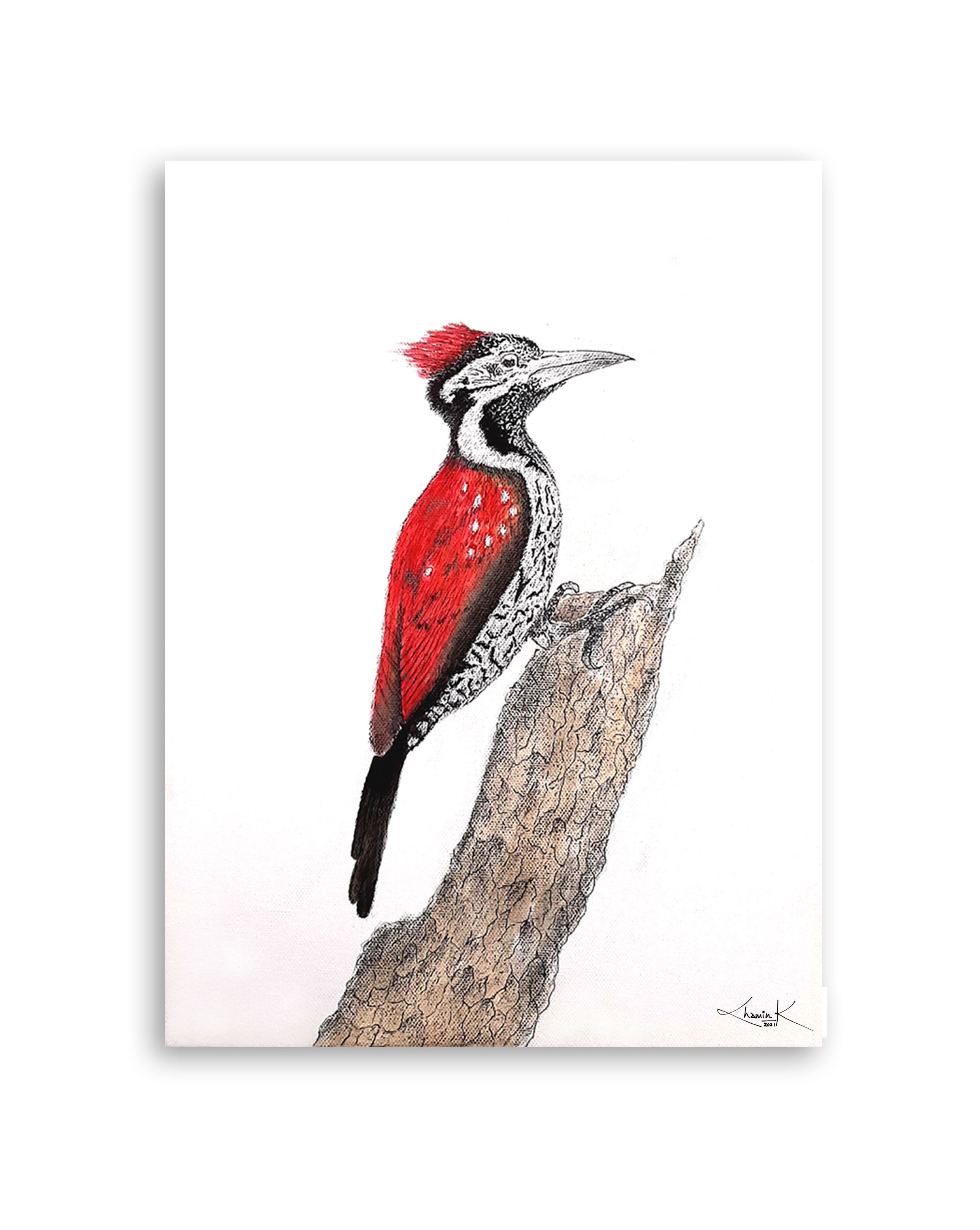 THE SRI LANKAN WOODPECKER - 2 by Chamin Kalubowila