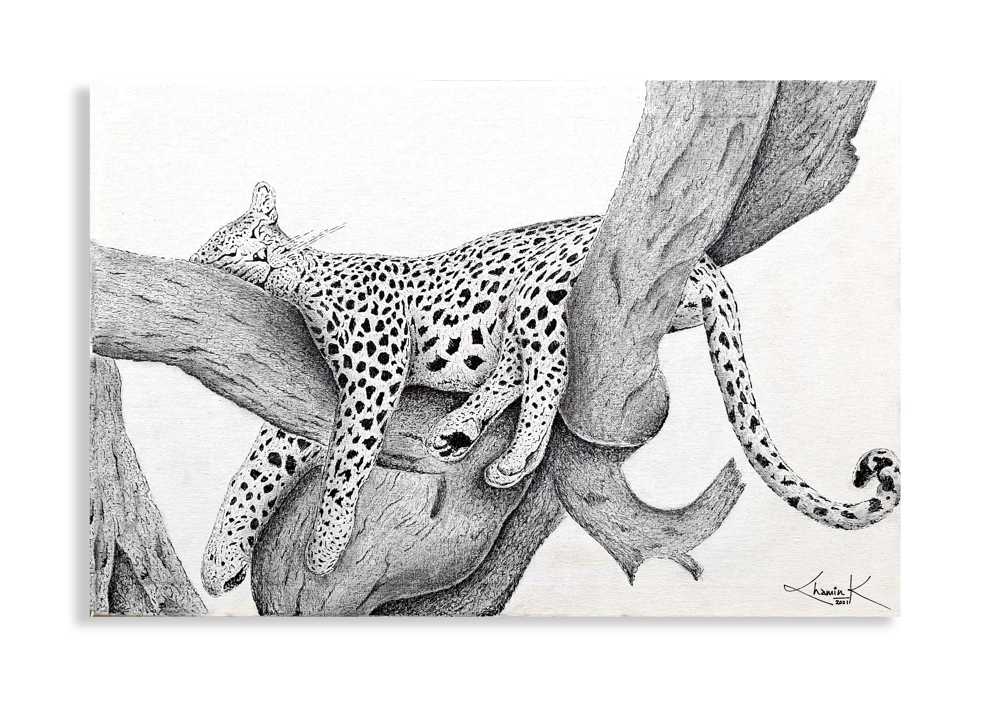 THE SRI LANKAN LEOPARD by Chamin Kalubowila