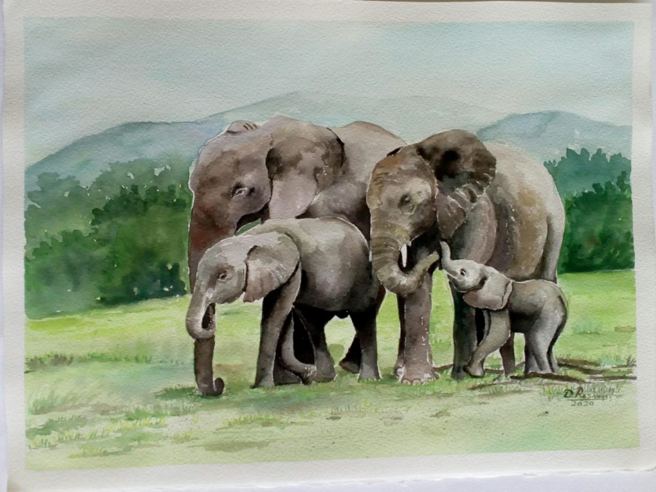 african elephants by Dhamitha Rasangee