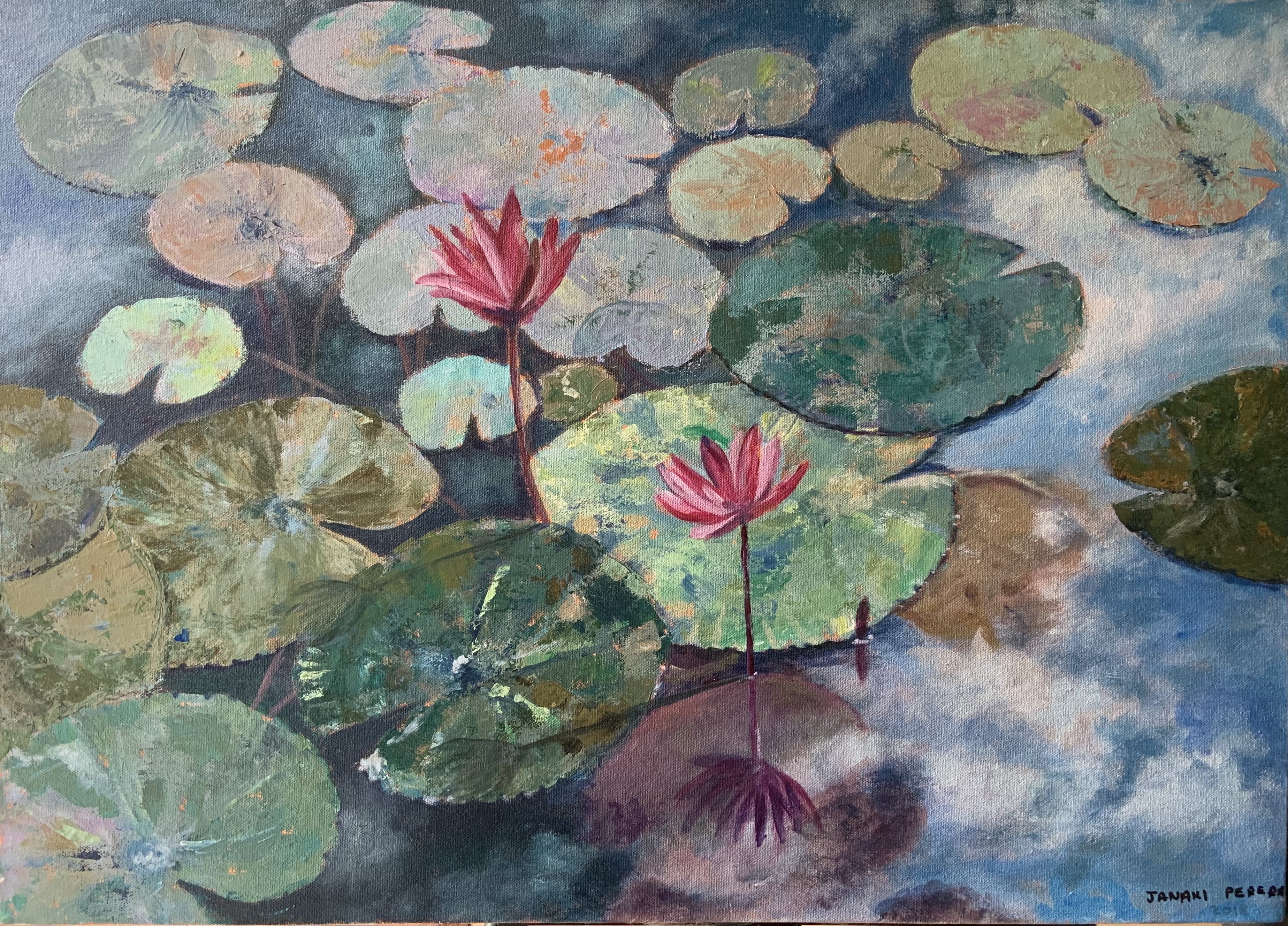 Lotus pond, Sri Lanka by Janaki Perera