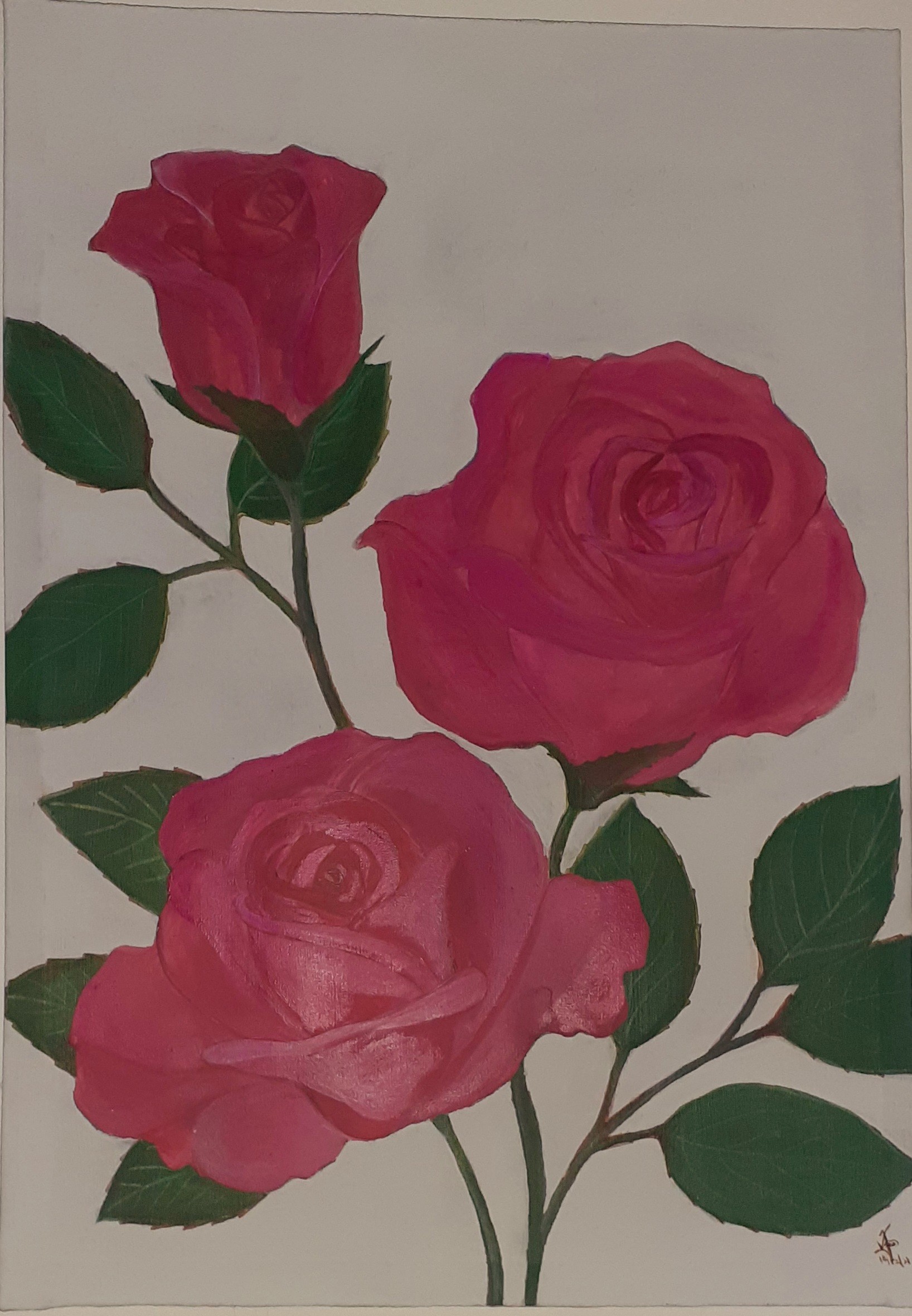 rose by Pujitha Liyanage